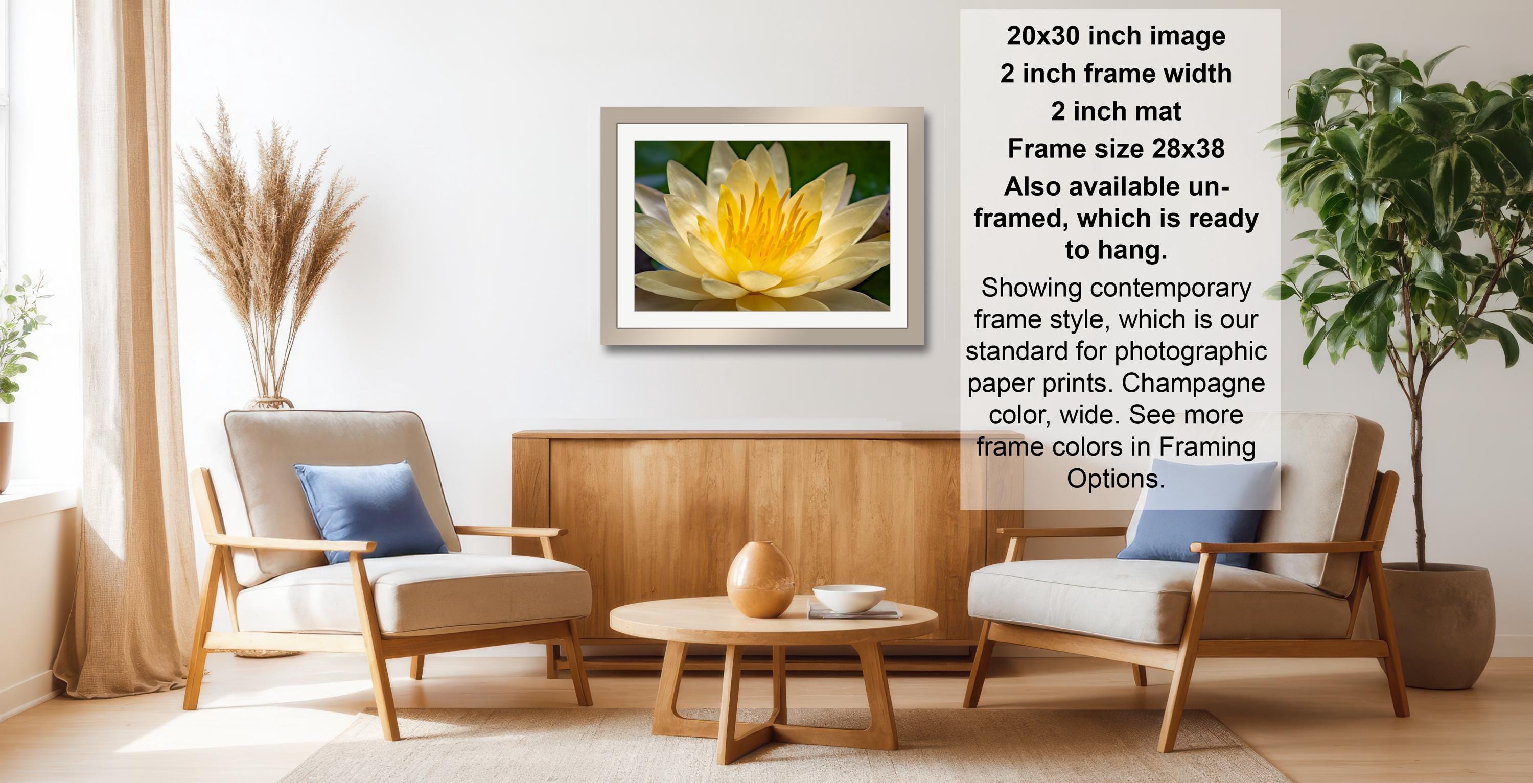 a living room with a framed photograph of a yellow flower on the wall, a wooden coffee table in the center, and two white armchairs facing each other.