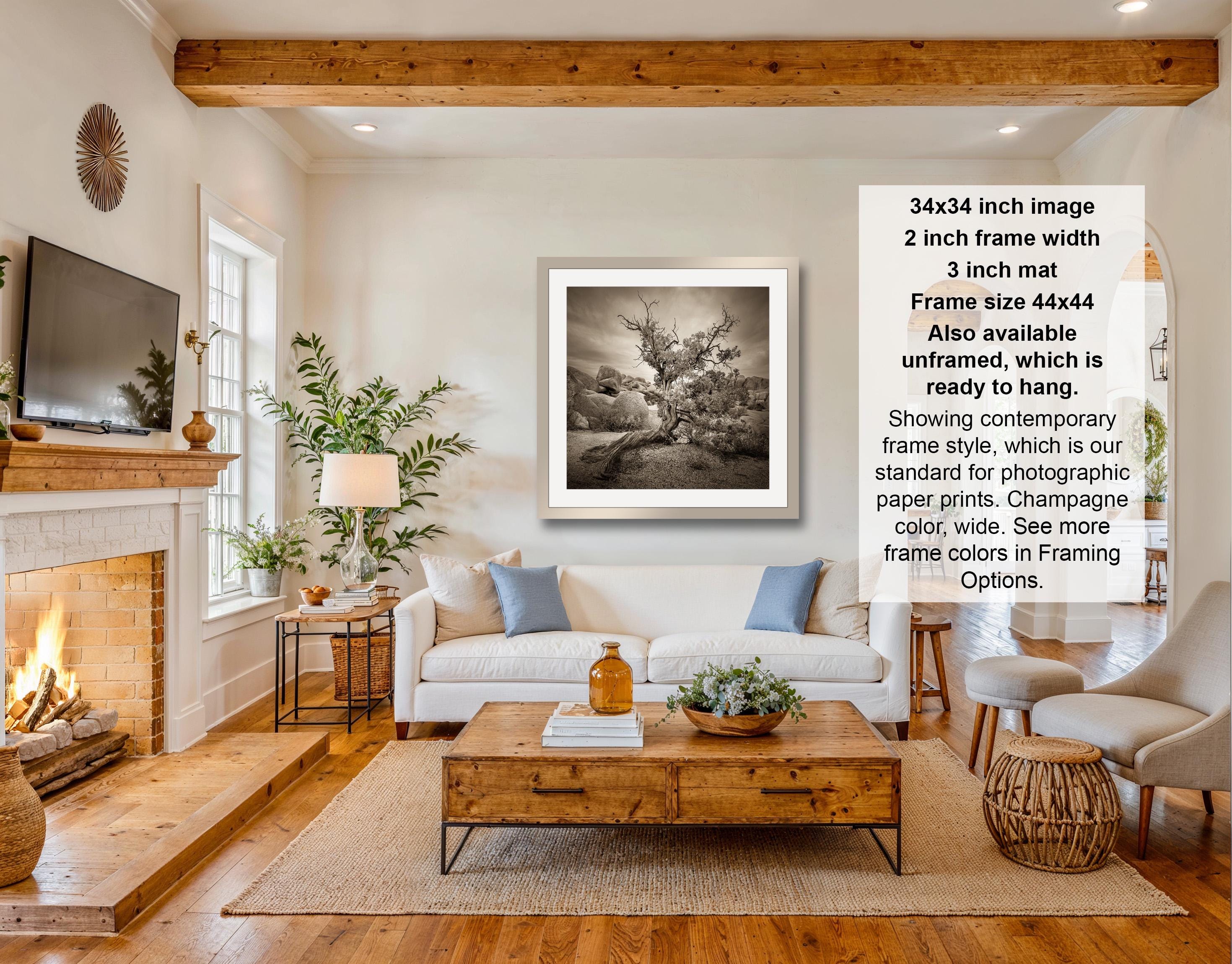 The image is a living room with a fireplace, a white sofa, a wooden coffee table, and a framed black and white photograph of a tree on the wall.