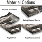 various types of print materials, including a premium photo print, a gallery wrapped canvas, an acrylic print, and a metal/aluminum print.