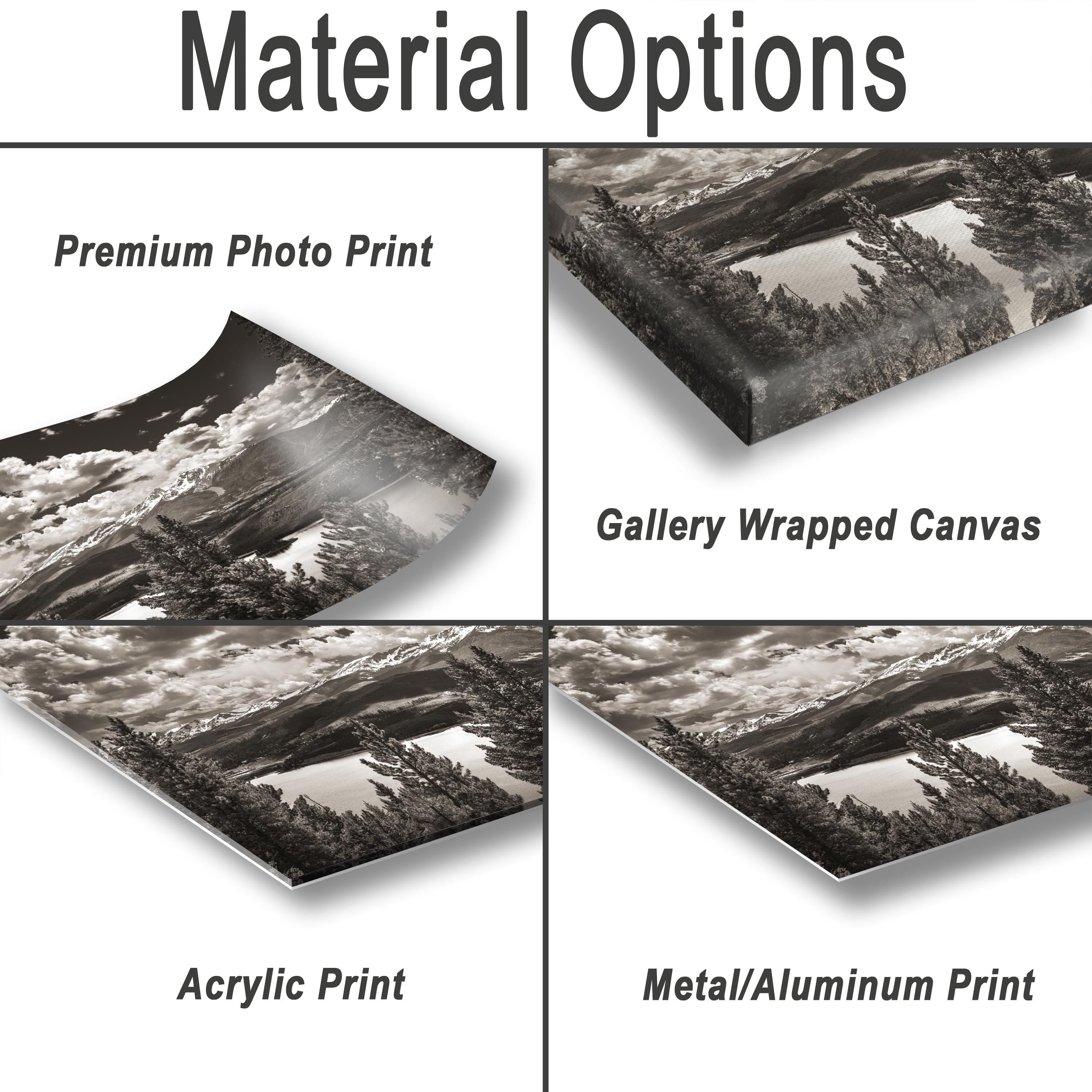 various types of print materials, including a premium photo print, a gallery wrapped canvas, an acrylic print, and a metal/aluminum print.