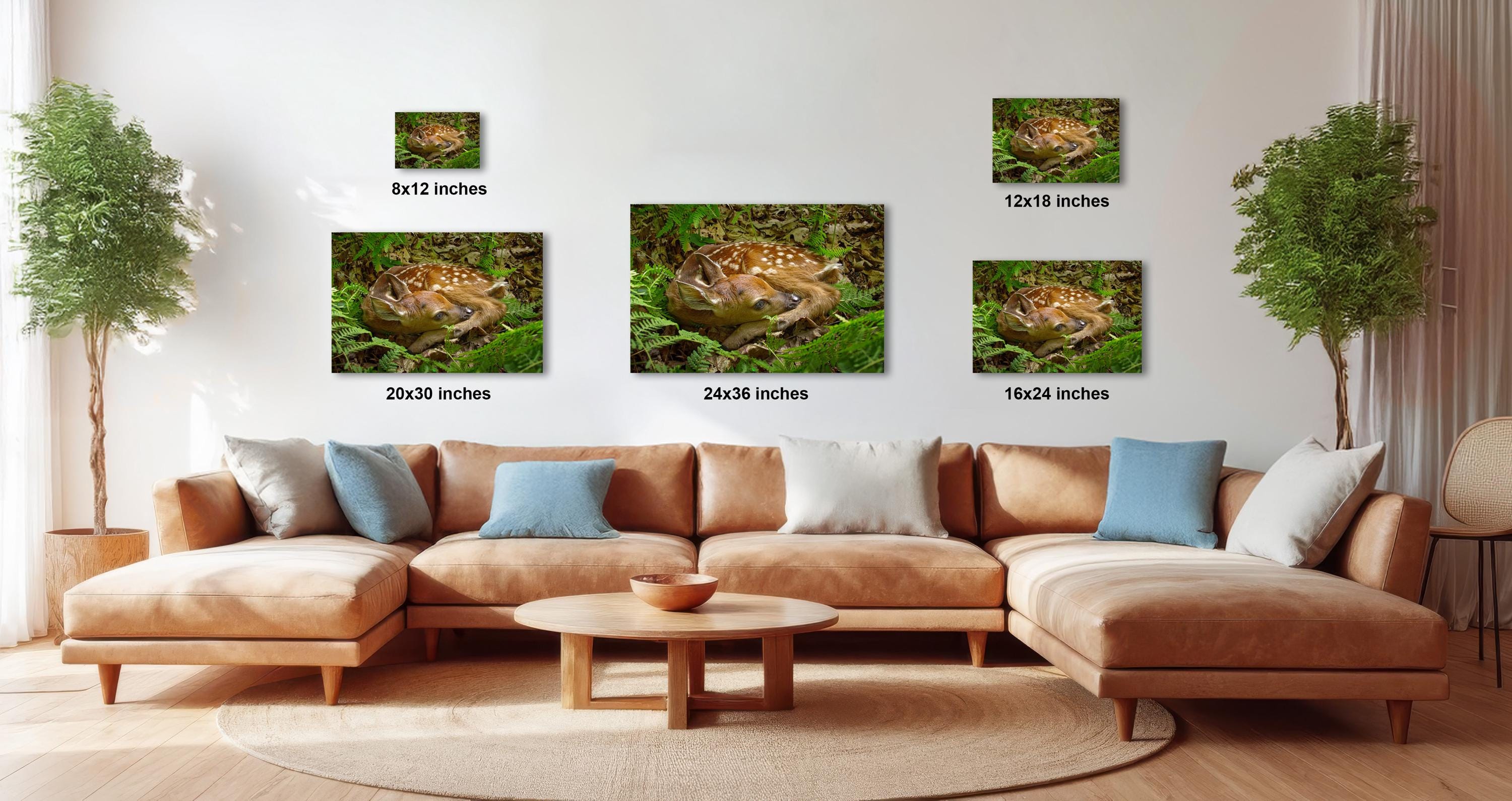 a living room with a large brown sectional sofa, a coffee table, and several potted plants. There are three framed photographs of deer on the wall, each with a different size and resolution, ranging from 12x12 inches to 16x16 inches.