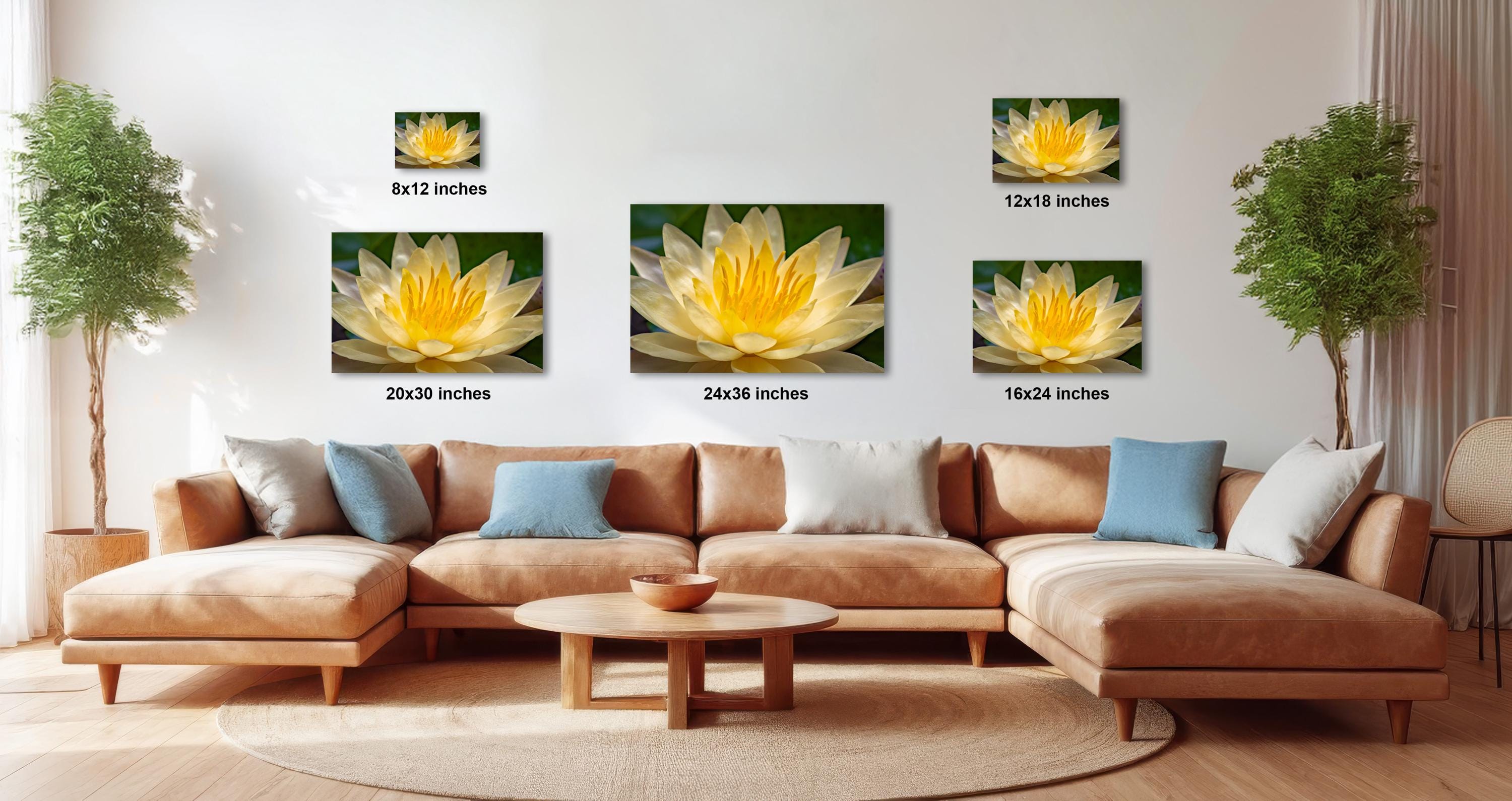 a living room with a large brown sectional sofa, a wooden coffee table, and several potted plants. Above the sofa, there are three framed photographs of yellow lotus flowers, each with a different size and resolution. The photographs are arranged in a grid-like pattern on the wall, creating a visually appealing display.