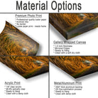 The image is a collage of four different types of printed materials, including a premium photo print, a gallery wrapped canvas, an acrylic print, and a metal/aluminum print. Each type of print has its own unique features and characteristics, such as the thickness of the paper, the backing material, and the hanging method.