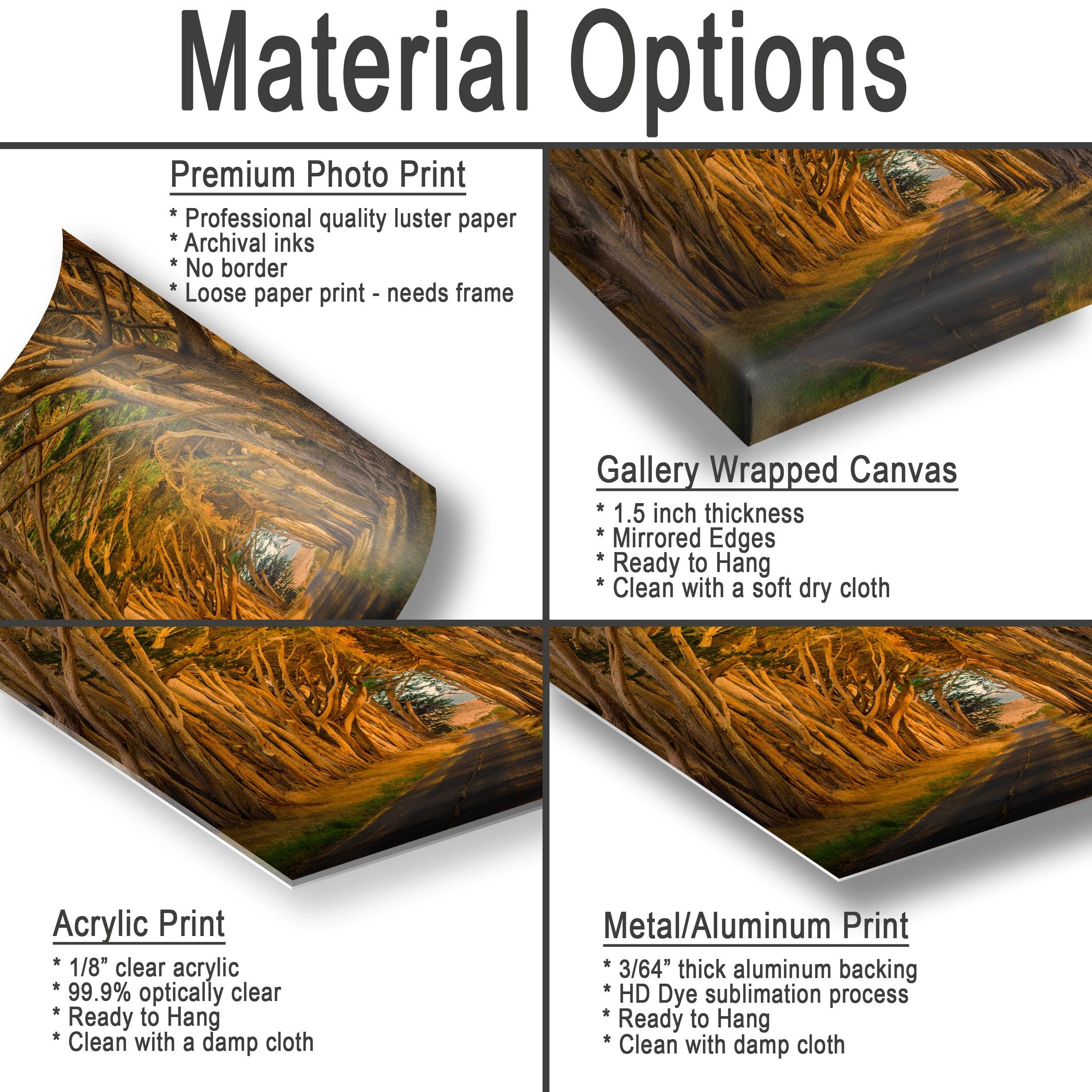 The image is a collage of four different types of printed materials, including a premium photo print, a gallery wrapped canvas, an acrylic print, and a metal/aluminum print. Each type of print has its own unique features and characteristics, such as the thickness of the paper, the backing material, and the hanging method.