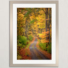 A winding dirt path surrounded by a vibrant display of autumn foliage, with trees in various shades of orange, yellow, and green lining the trail.