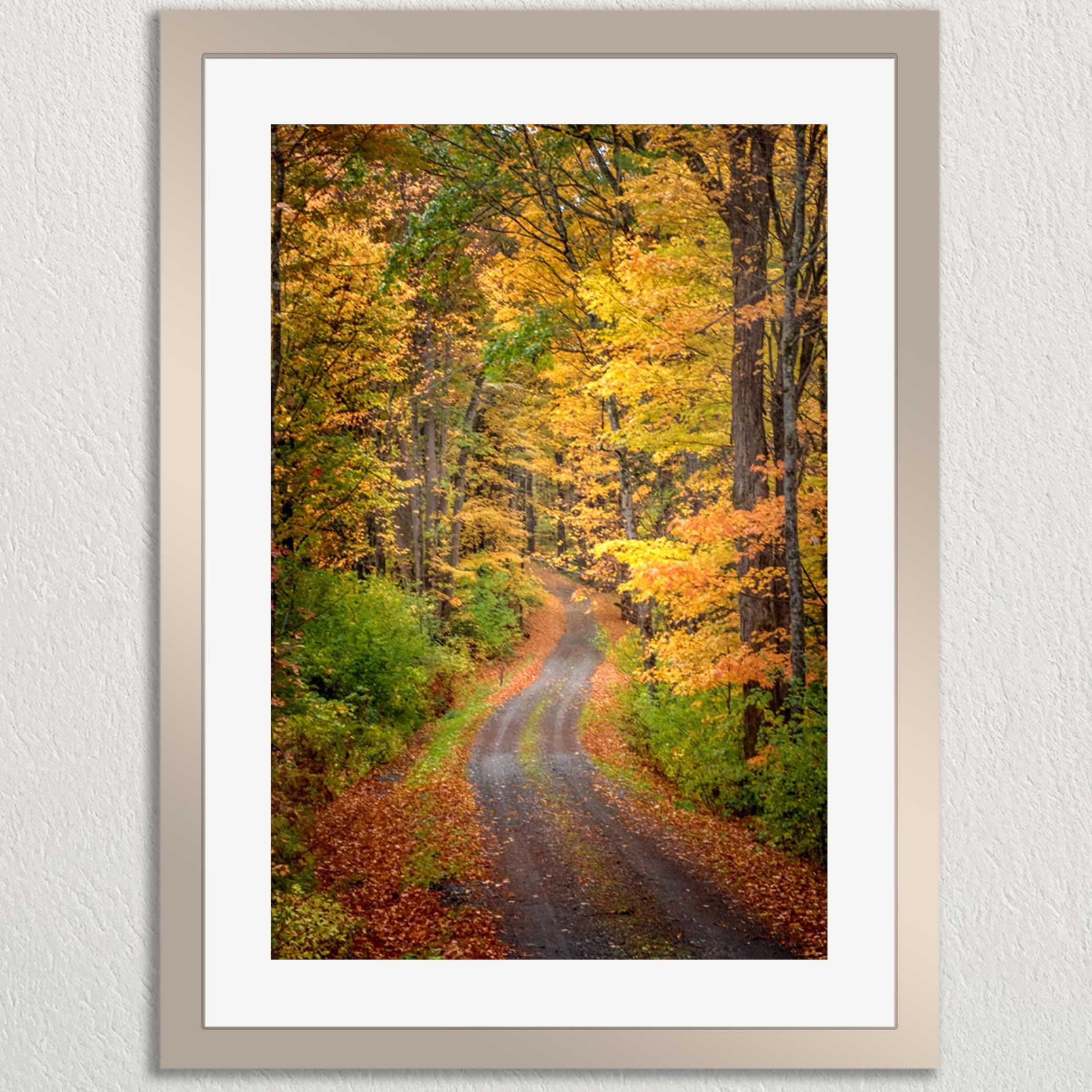 A winding dirt path surrounded by a vibrant display of autumn foliage, with trees in various shades of orange, yellow, and green lining the trail.