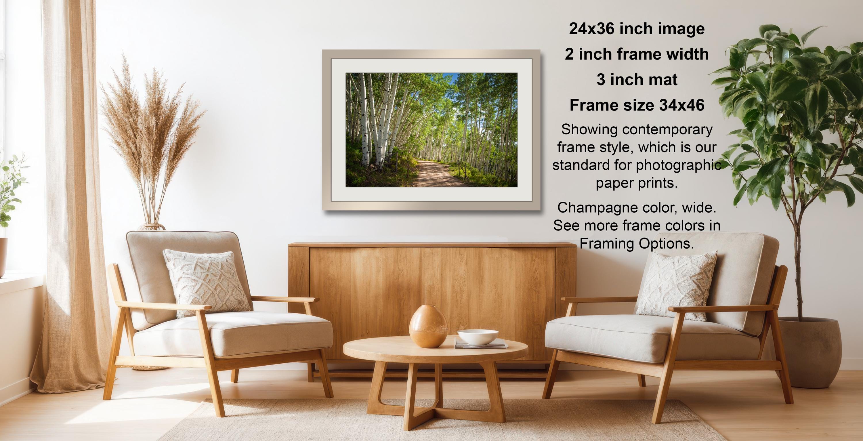 a cozy living room with a wooden coffee table, two beige armchairs, and a framed photograph of a forest path. The photograph is framed in a wooden frame and hangs on a white wall. The room is decorated with potted plants and a vase, creating a warm and inviting atmosphere.