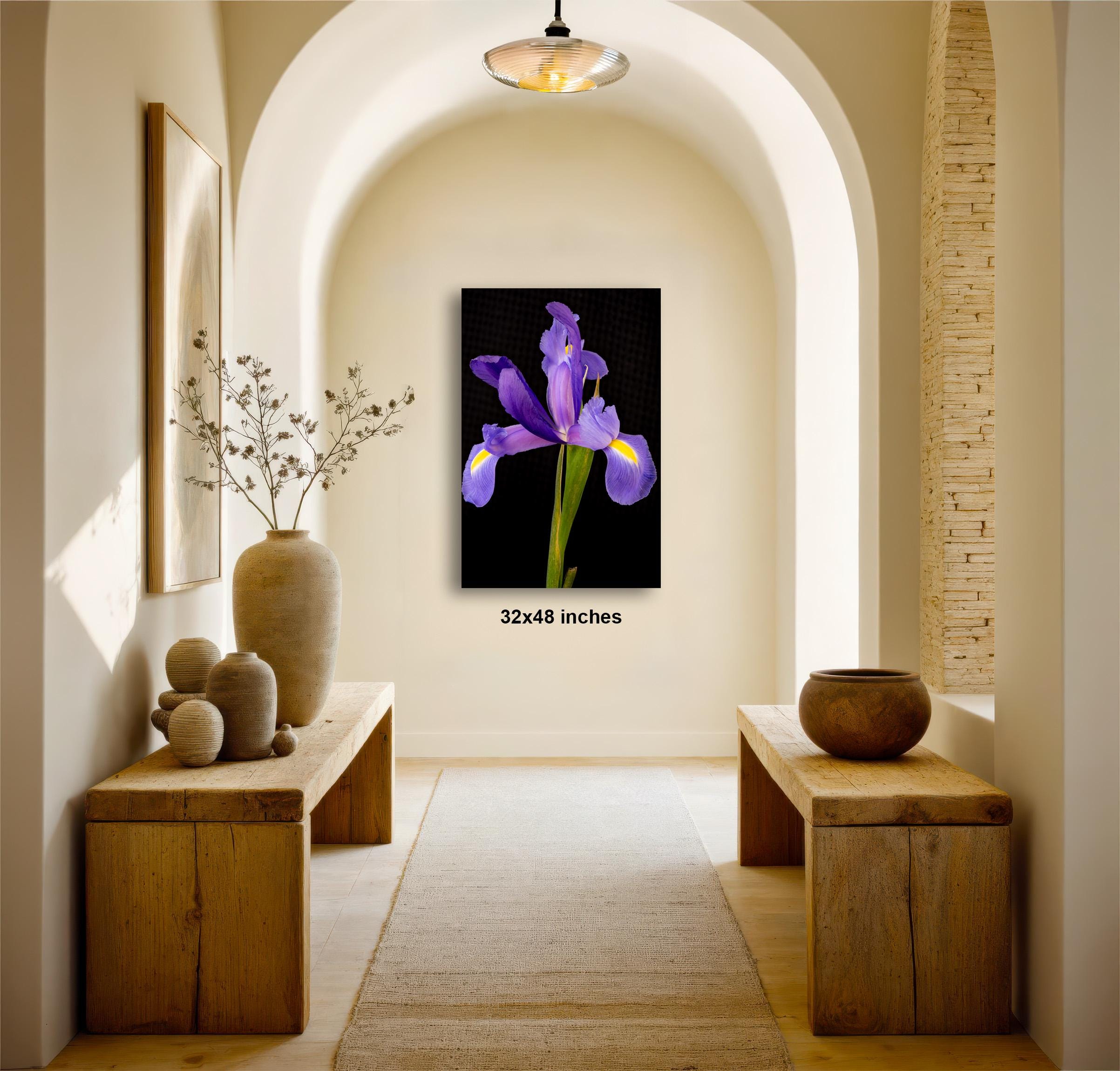 a serene and elegant hallway with a large framed photograph of a purple iris on the wall, flanked by two wooden benches and a vase of flowers.