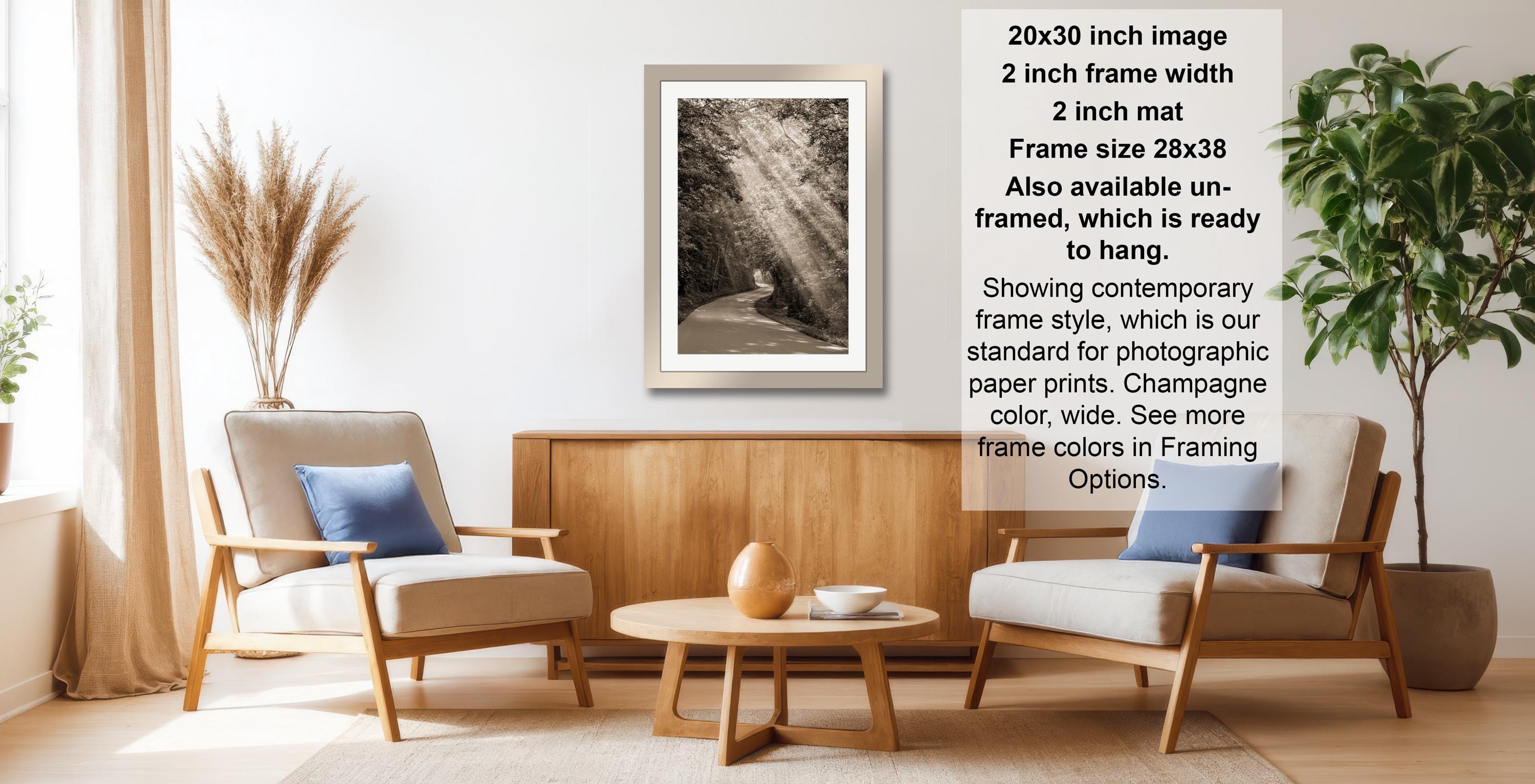 a living room with a framed photograph of a forest scene hanging on the wall. The room has two armchairs, a coffee table, and a potted plant, creating a cozy and inviting atmosphere.