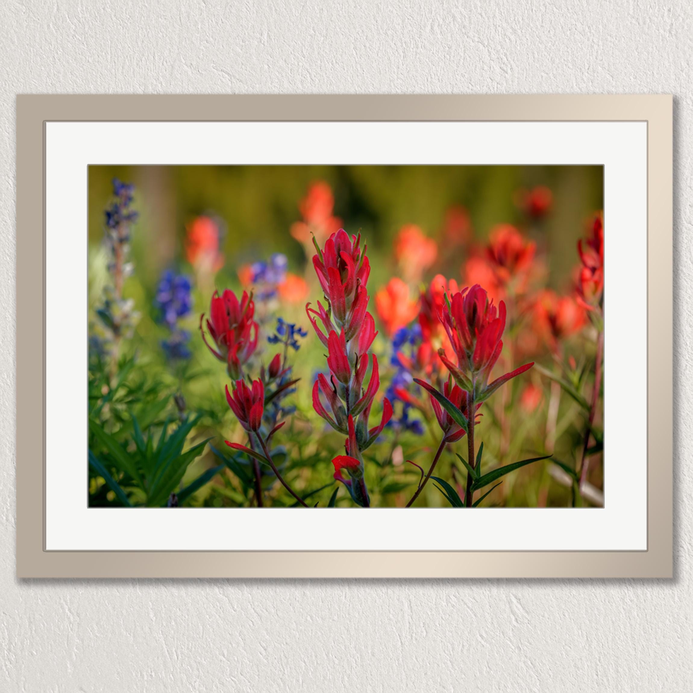 A framed photograph of a vibrant garden filled with red and orange flowers, including red and blue blooms, set against a blurred green background.