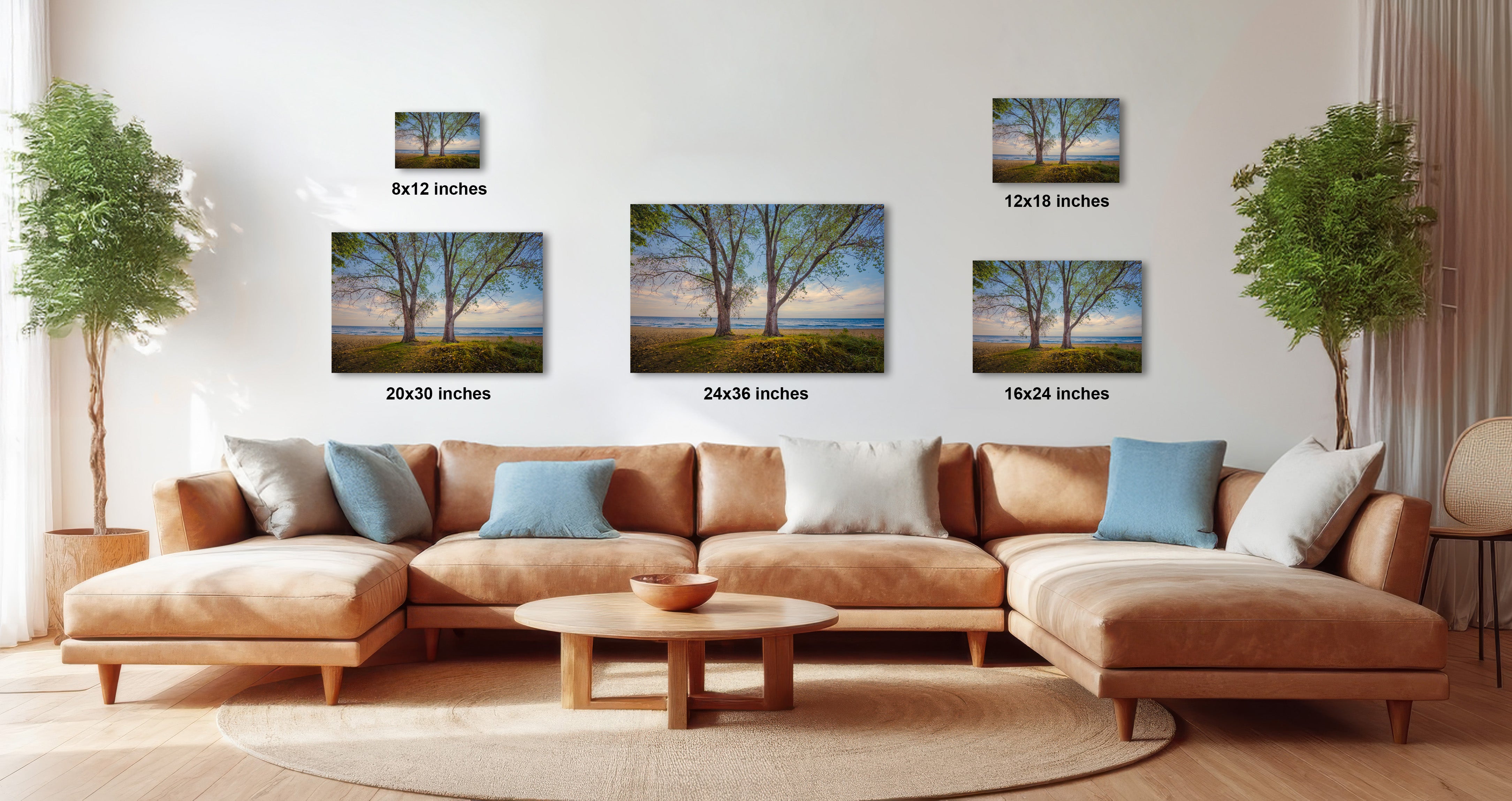 a living room with a large sectional sofa, a coffee table, and several potted plants. There are three framed landscape photographs displayed on the wall above the sofa, each with a different size and resolution.