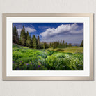 A framed photograph depicting a lush, green meadow with wildflowers and pine trees under a blue sky with fluffy white clouds.