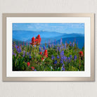 A framed photograph of a vibrant field of red and blue wildflowers, with mountains visible in the background under a clear blue sky.