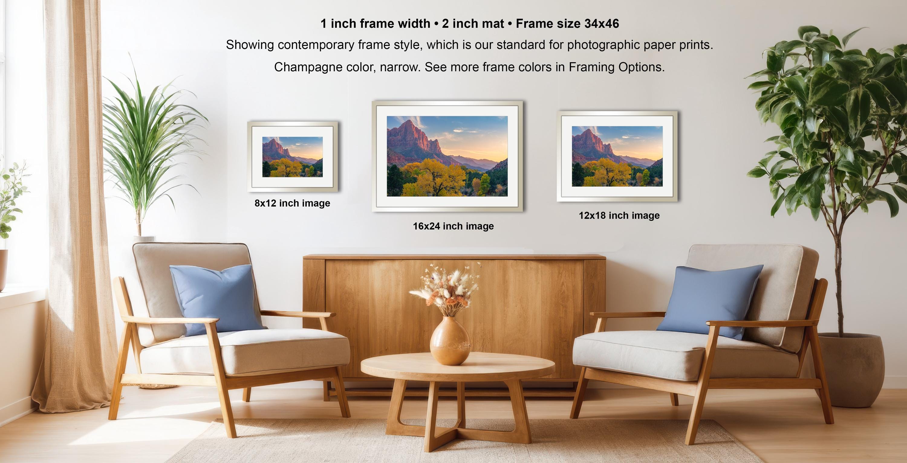 a living room with three framed landscape photographs hanging on the wall. The photographs are of varying sizes, with the largest one being 8x12 inches and the smallest one being 16x24 inches. The room is furnished with two armchairs and a coffee table, and there are potted plants and a vase adding to the decor.