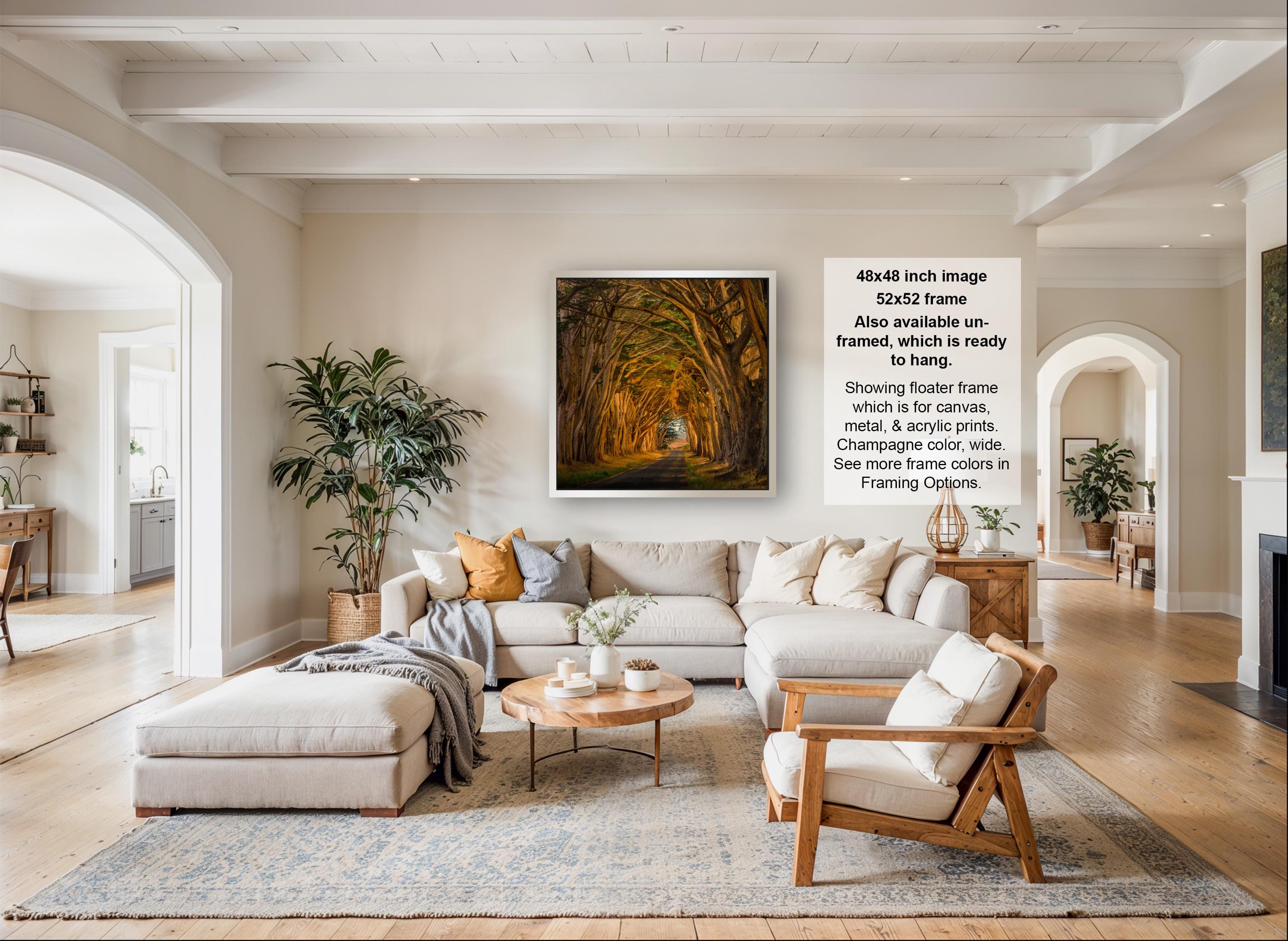 A large, framed photograph of a forest path with a canopy of trees hangs on the wall of a spacious, well-lit living room.
