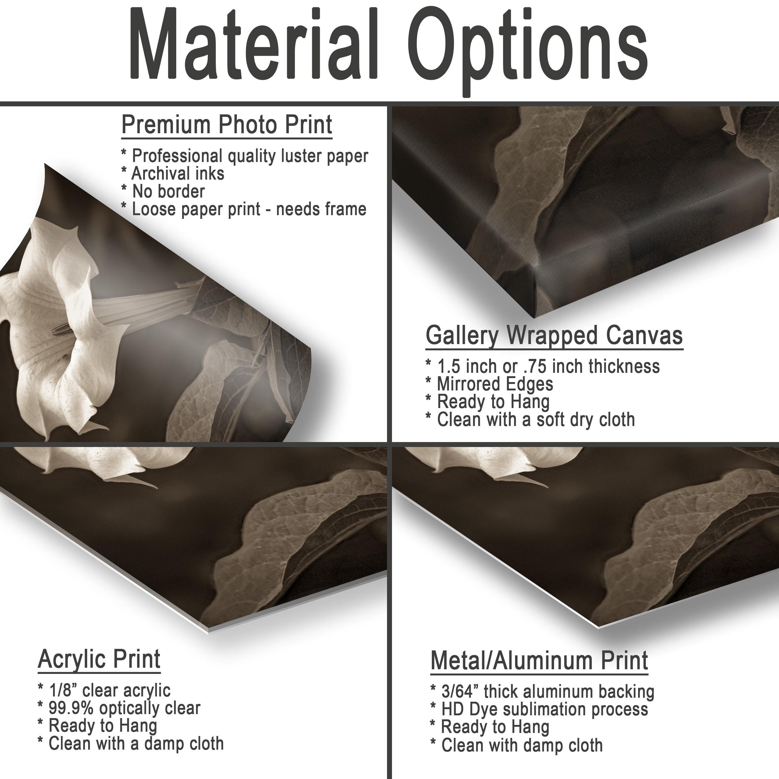 The image is a collage of four different types of printed materials, including a premium photo print, a gallery wrapped canvas, an acrylic print, and a metal/alum print.
