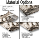 The image is a collage of four different types of photo prints, each with its own unique characteristics and uses.