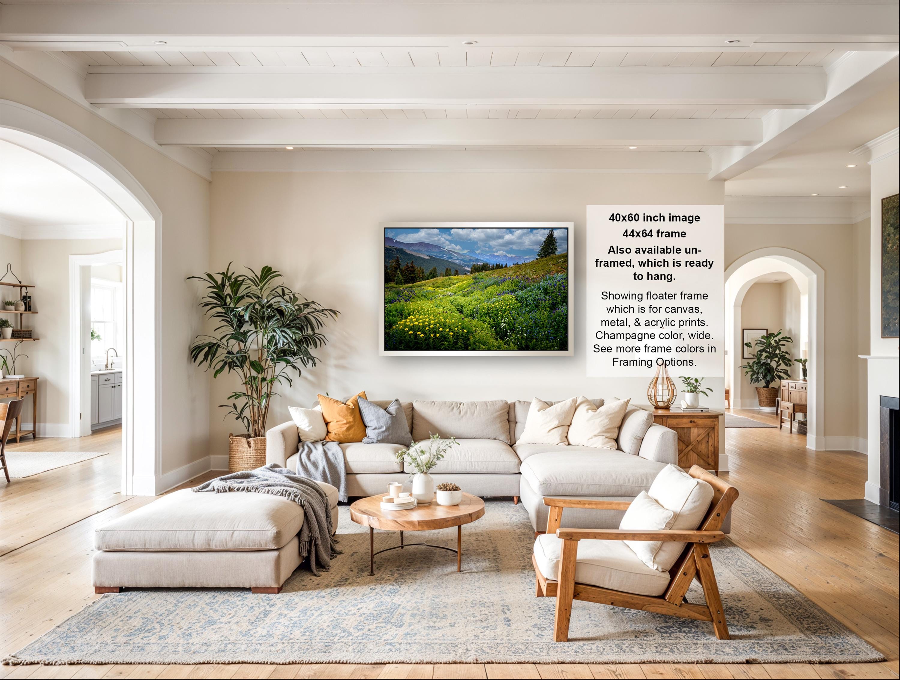 The image is a large framed landscape painting depicting a field with mountains in the background, hanging on a wall in a living room setting.