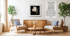 a cozy living room with two comfortable armchairs, a wooden coffee table, and a framed black and white photograph of a flower hanging on the wall.