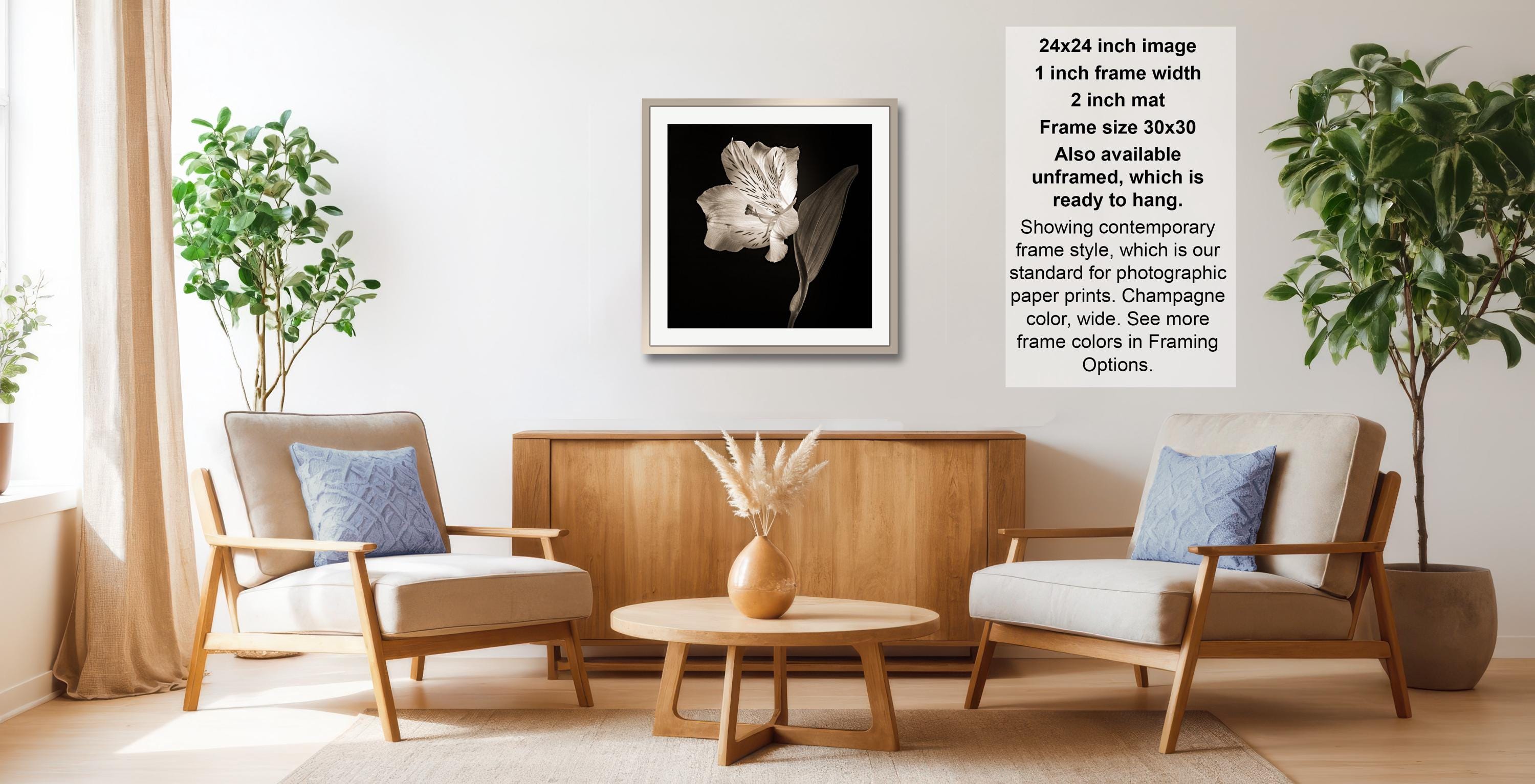 a cozy living room with two comfortable armchairs, a wooden coffee table, and a framed black and white photograph of a flower hanging on the wall.