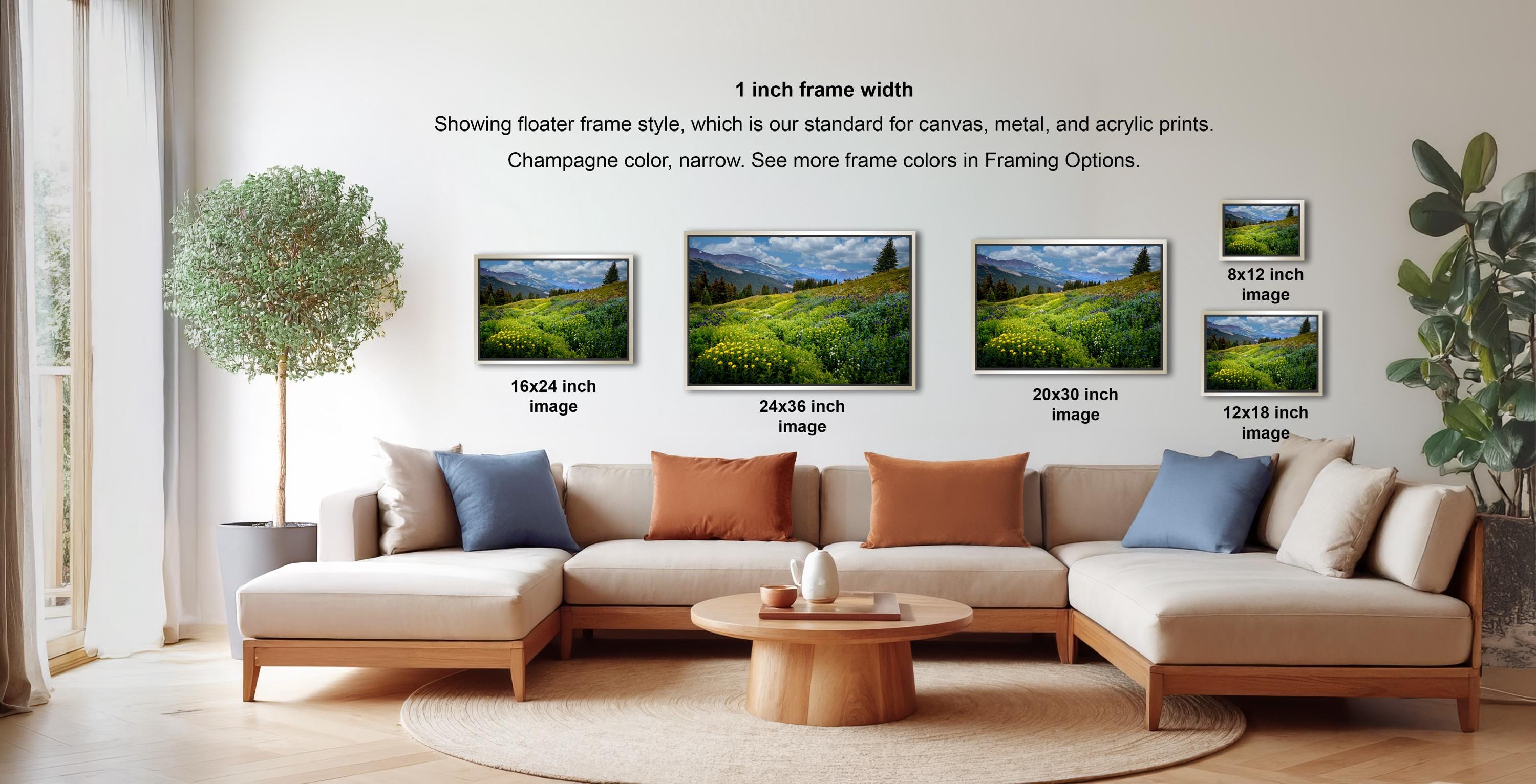 a living room with a large sectional sofa, a coffee table, and a potted plant. There are four framed landscape photographs displayed on the wall, each with a different frame size ranging from 16.26 to 20.30 inches. The photographs depict various scenic outdoor landscapes, such as mountains, fields, and forests.