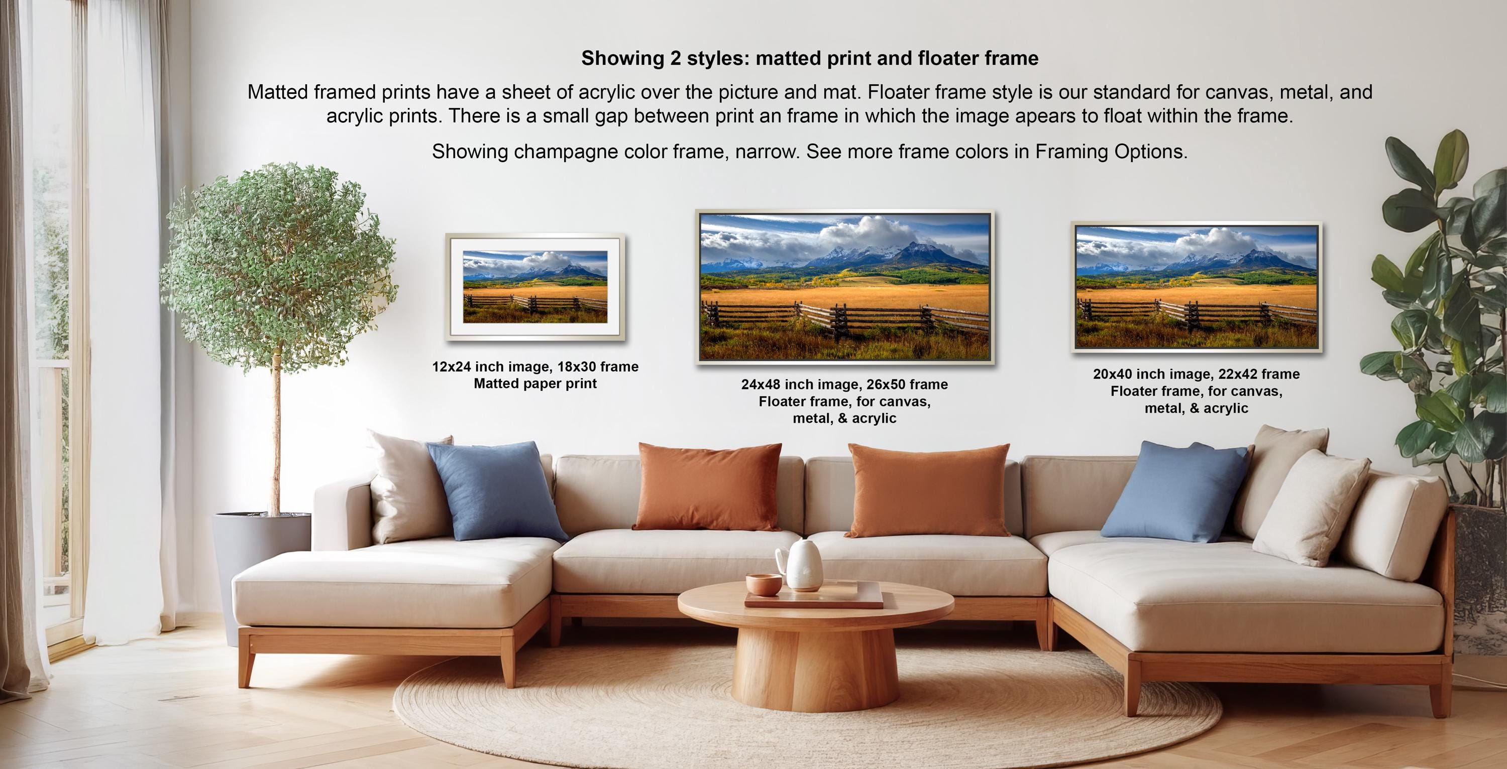 The image is a living room with a large couch and a coffee table, along with a potted plant and a framed print of a landscape. The couch is arranged in a semi-circle around the coffee table, creating a cozy and inviting atmosphere. The framed print is displayed on the wall, showcasing different frame styles and sizes, including a matured print and a floater frame.