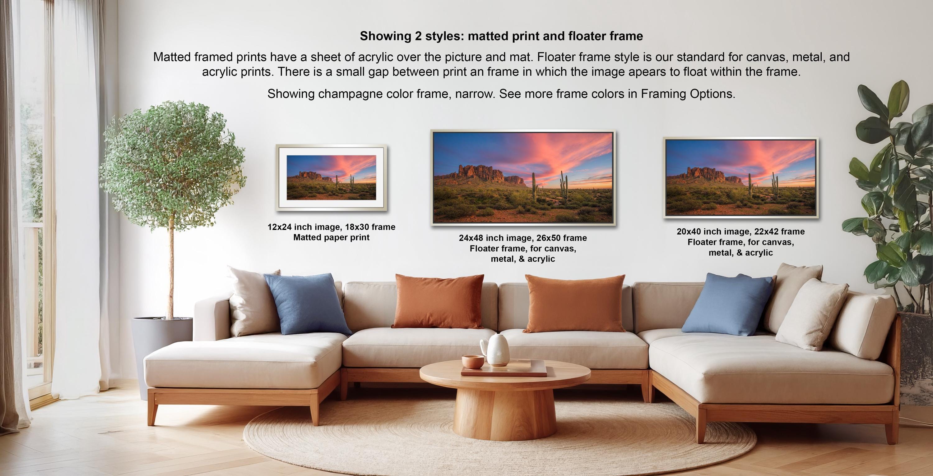 a living room with a large sofa and a coffee table, along with a potted plant and a framed print of a sunset landscape. The sofa is arranged in a semi-circle around the coffee table, creating a cozy and inviting atmosphere. The framed print is displayed on the wall, showcasing the beauty of the sunset and the surrounding environment.