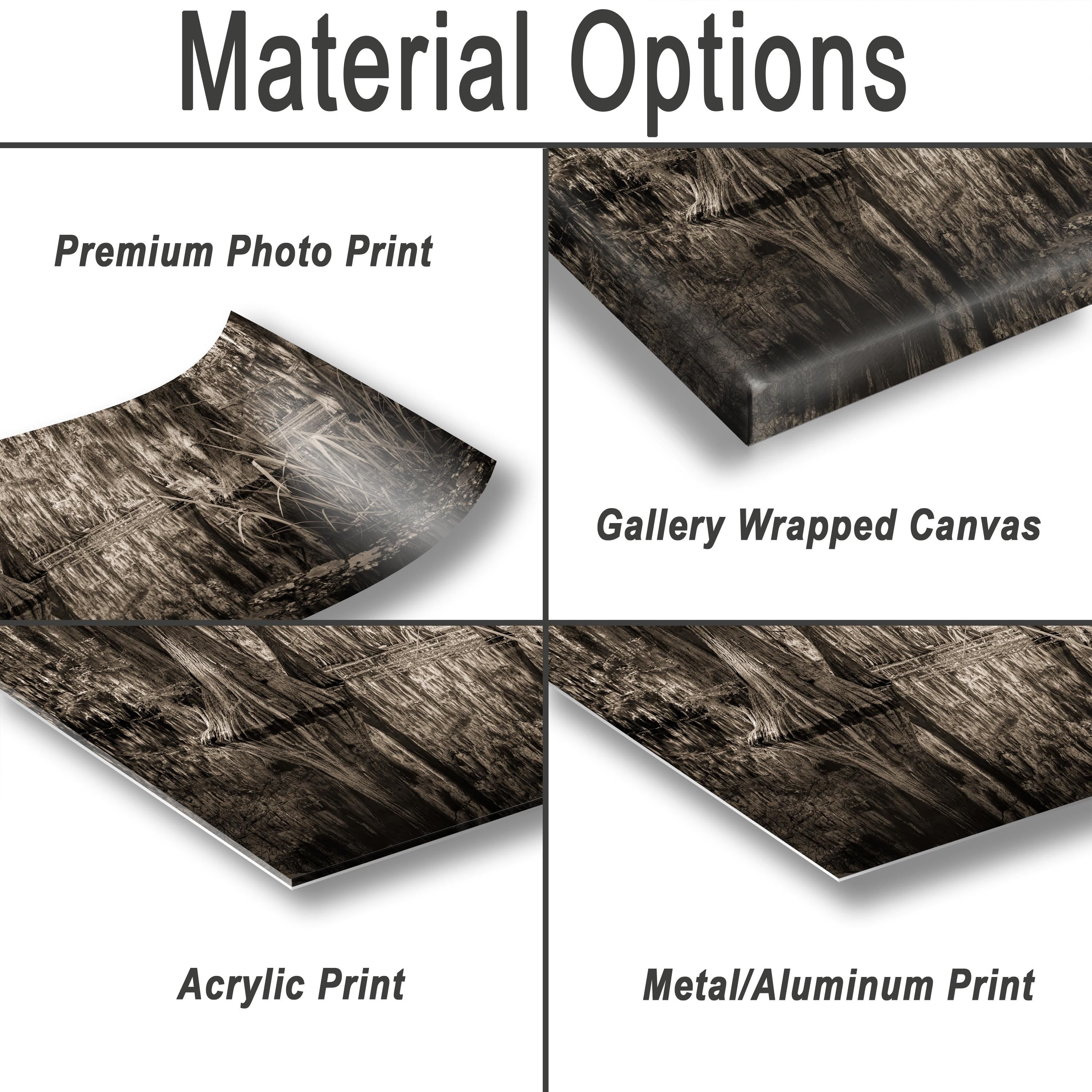 various types of printed materials, including a premium photo print, a gallery wrapped canvas, an acrylic print, and a metal/aluminum print.