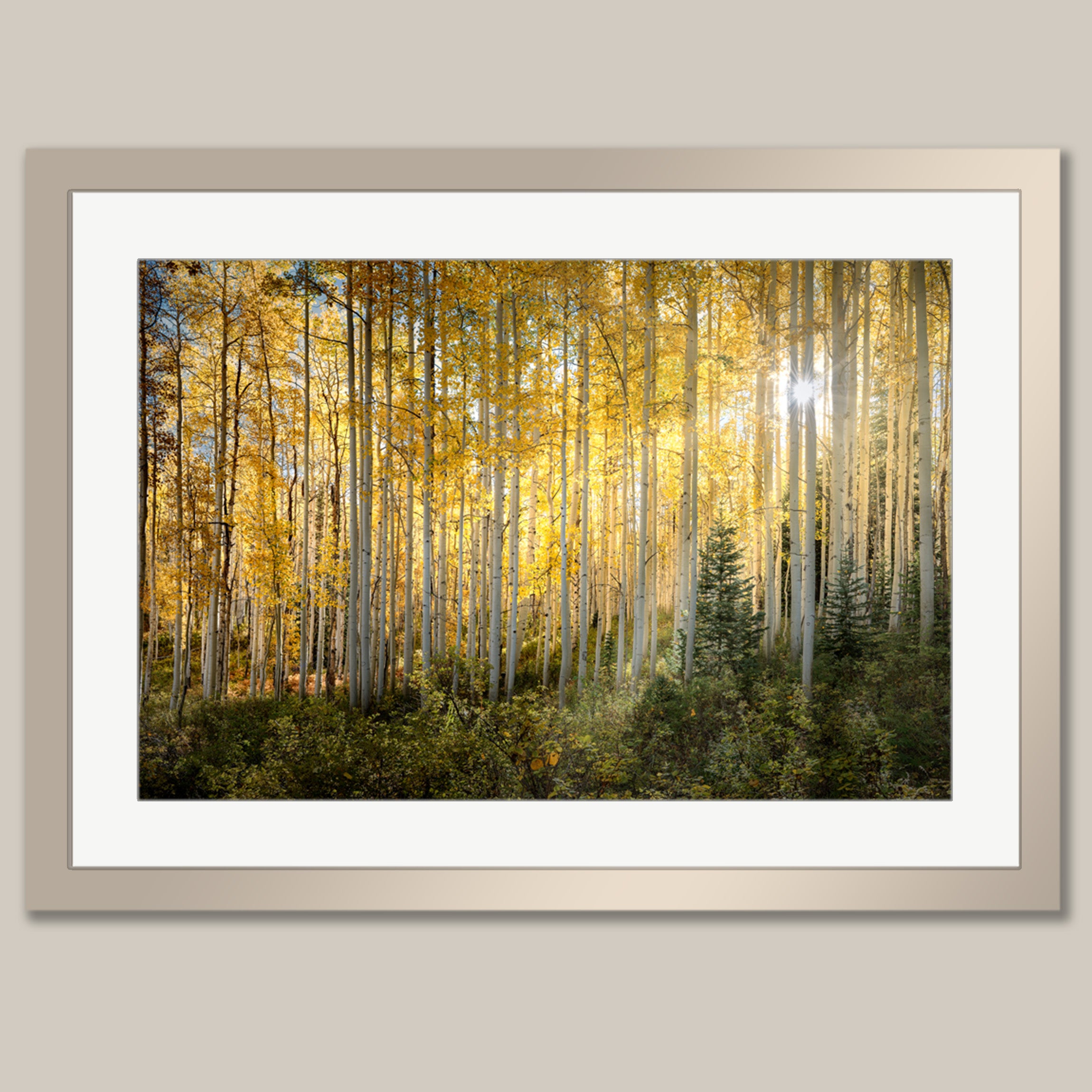 A framed photograph depicting a forest with tall trees displaying vibrant yellow leaves, creating a warm and serene atmosphere.