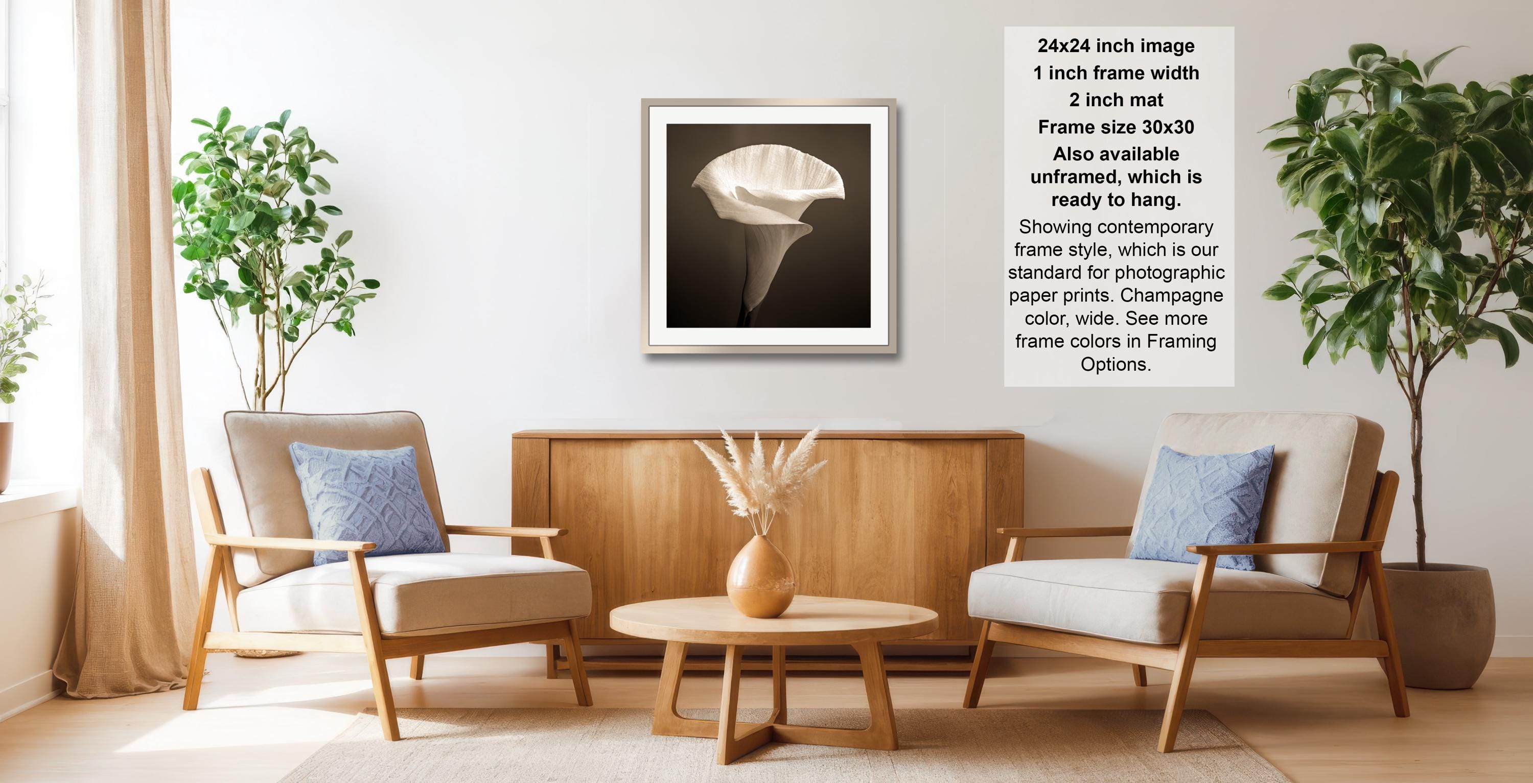 a cozy living room with two beige armchairs, a wooden coffee table, and a framed black and white photograph of a flower on the wall.