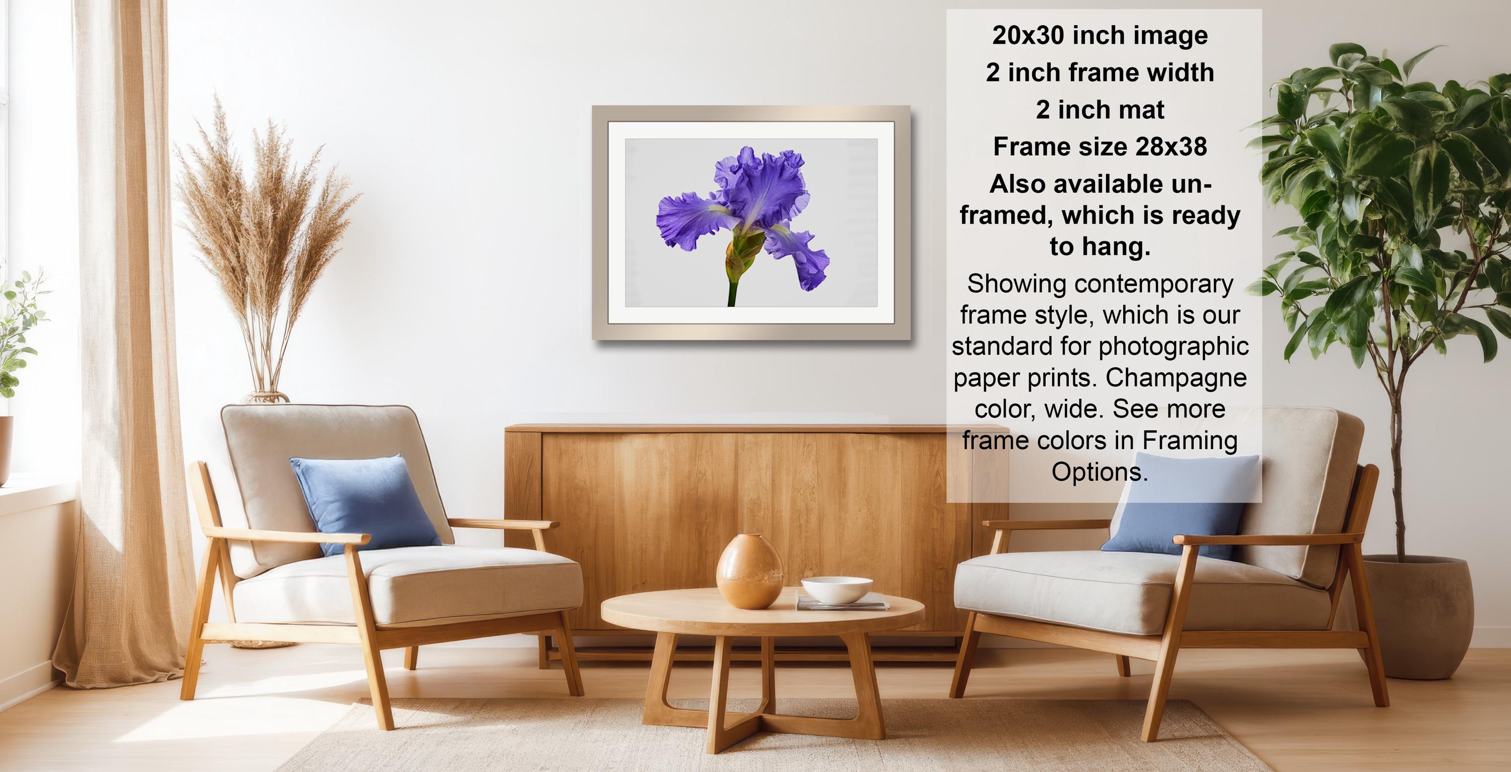 a living room with a framed purple flower on the wall, a wooden coffee table, two white armchairs, and a potted plant. The room has a modern and minimalist design, with a neutral color palette and clean lines.