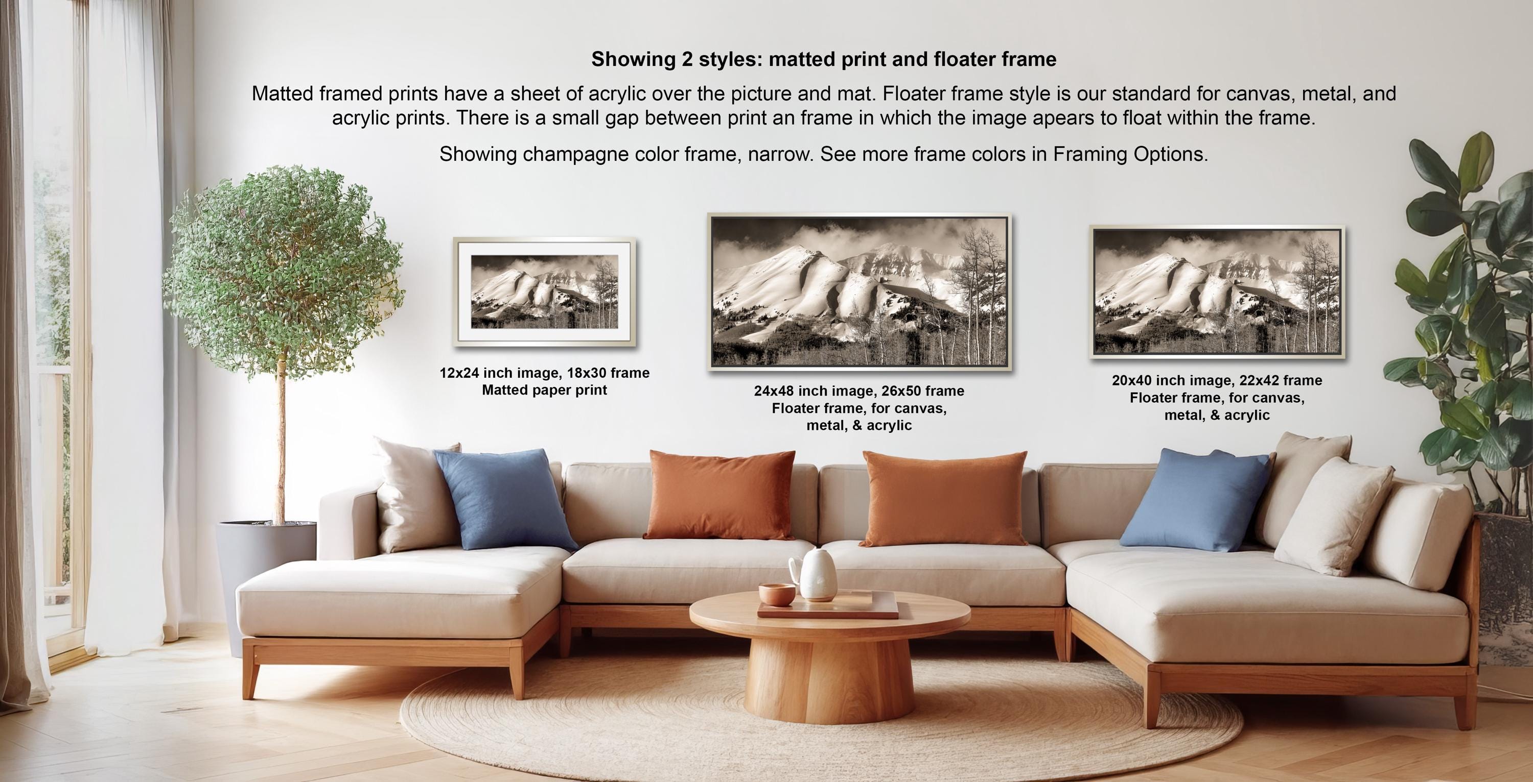 a living room with a large sectional sofa, a coffee table, and a potted plant. There are three framed prints displayed on the wall, each with a different frame style and size. The text provides information about the different frame styles and sizes, including the mat print and floater frame.