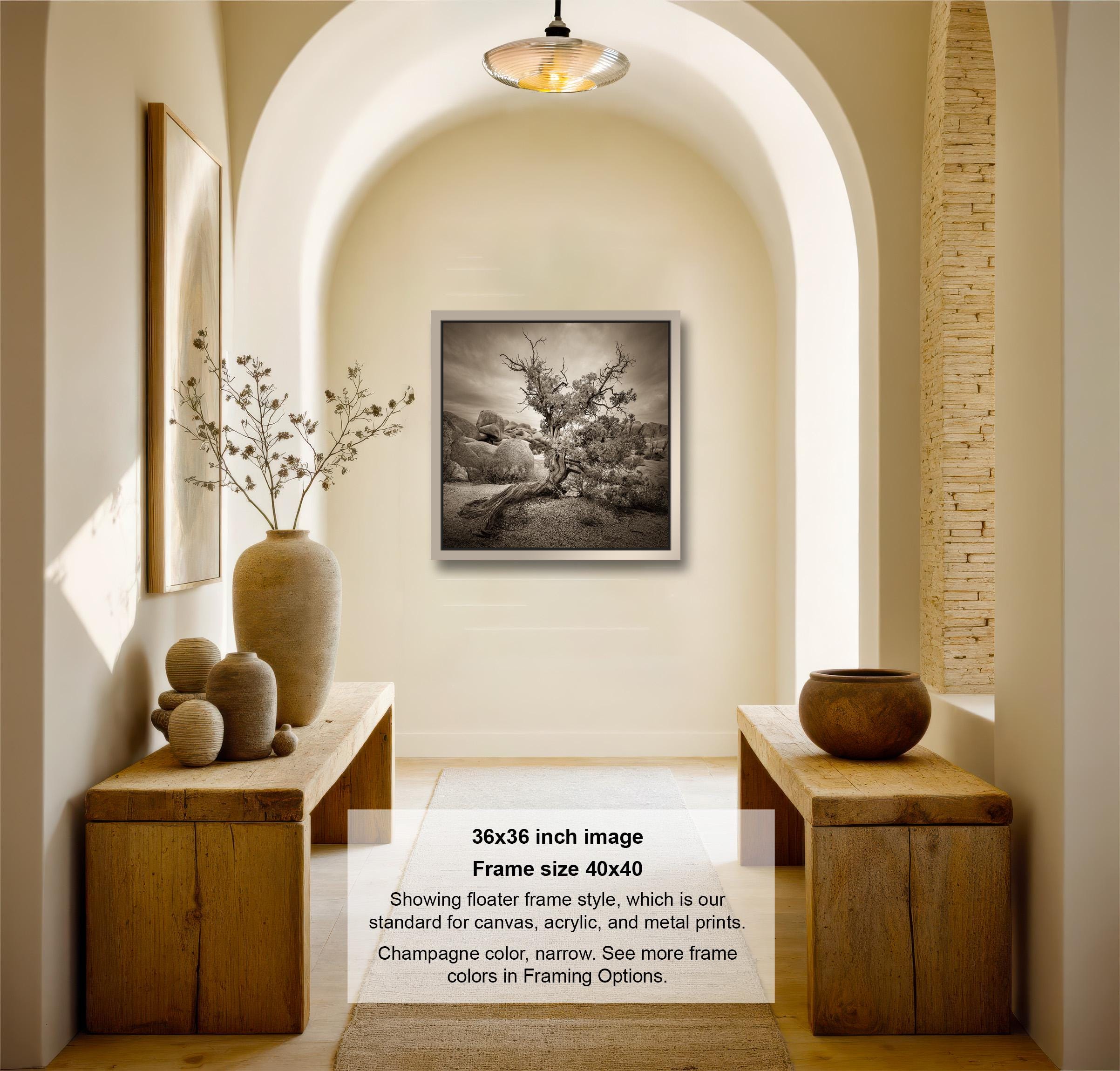 A black and white photograph of a hallway with a framed landscape painting hanging on the wall, flanked by two wooden tables with decorative items on them.