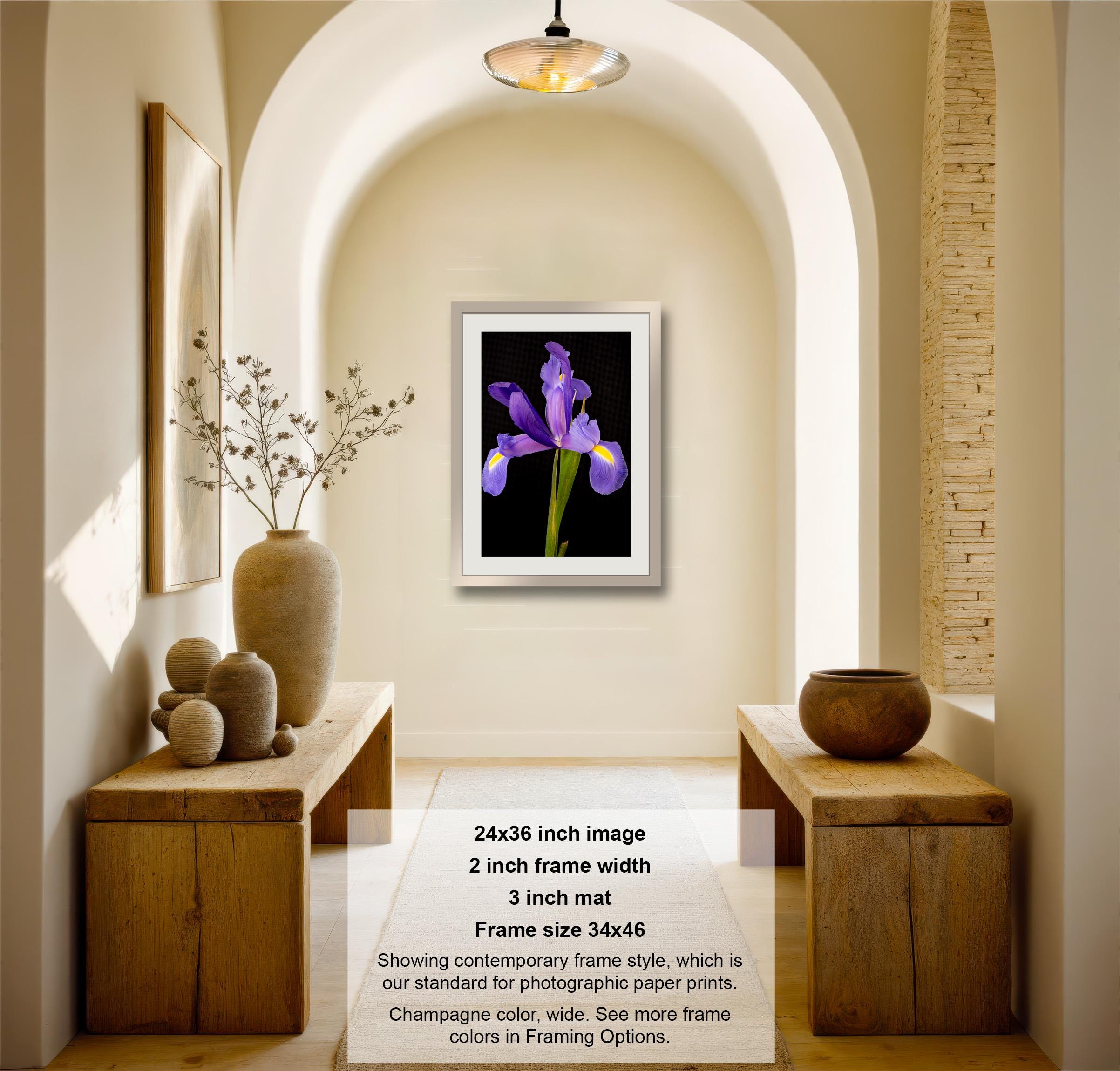 The image is a framed photograph of a purple iris flower, hanging on a wall in a room with wooden furniture and decorative items.