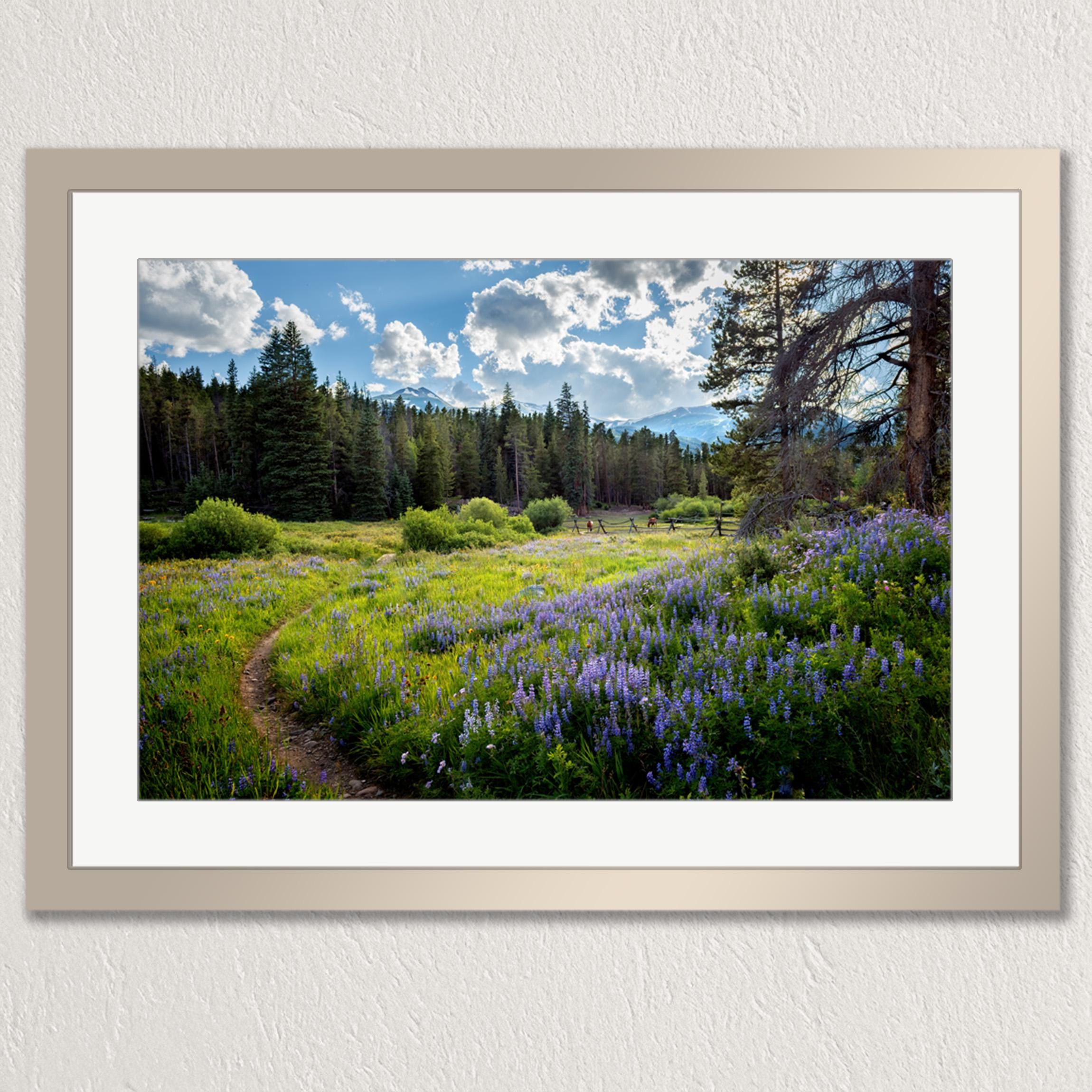 A framed photograph depicting a lush, green meadow filled with purple wildflowers, surrounded by a forest and a mountain range in the background.