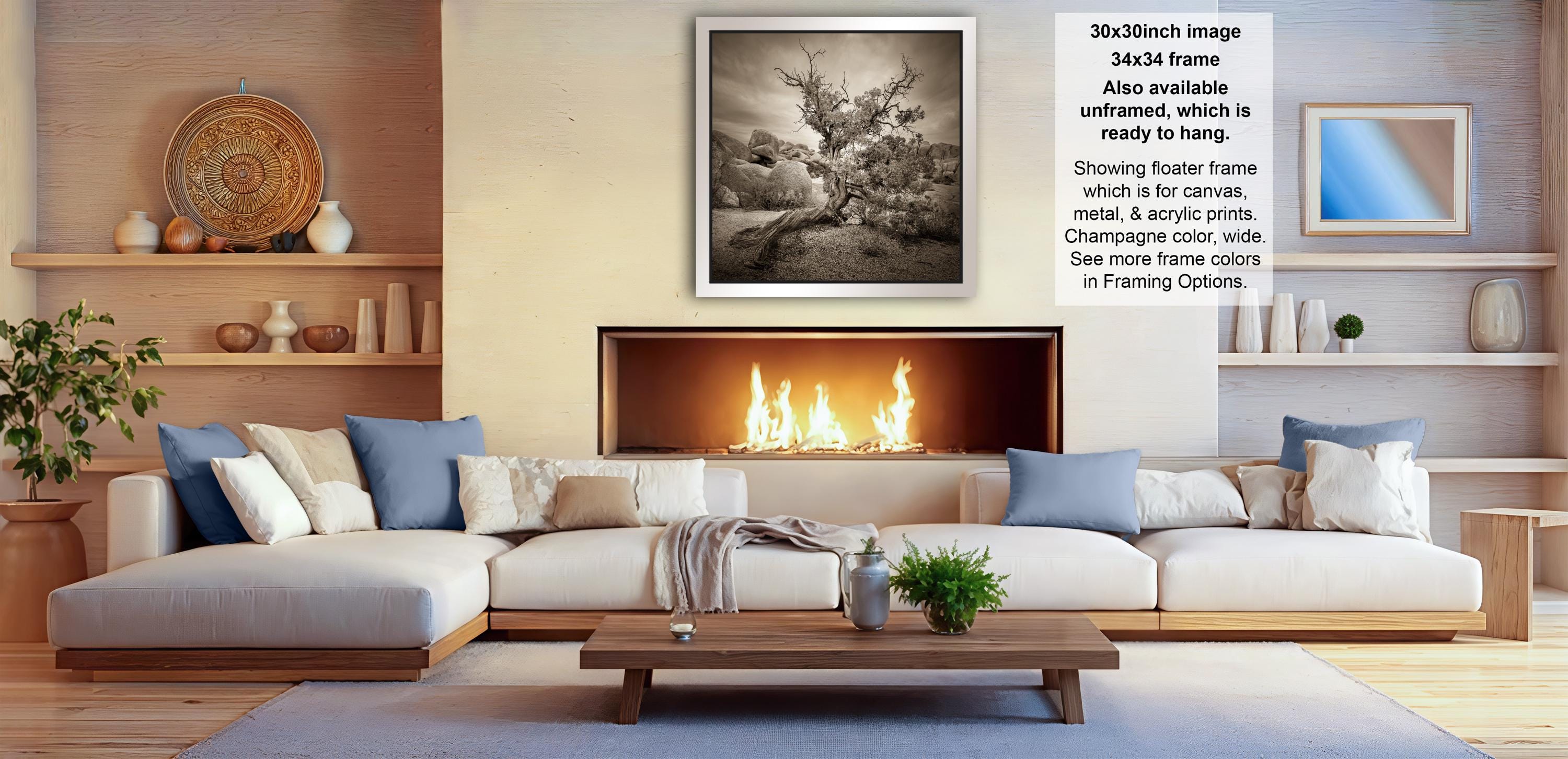 a cozy living room with a fireplace, white sofas, and various decorative elements such as vases and a potted plant.