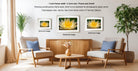 a living room with three framed photographs of a yellow flower on the wall. The photographs are of different sizes, with the largest one being 8x12 inches and the smallest one being 16x24 inches. The room is furnished with two chairs and a coffee table, and there are potted plants and a vase adding to the decor.