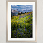 A framed photograph depicting a vibrant mountain landscape with a lush meadow filled with yellow and blue wildflowers, surrounded by snow-capped mountains under a blue sky with clouds.