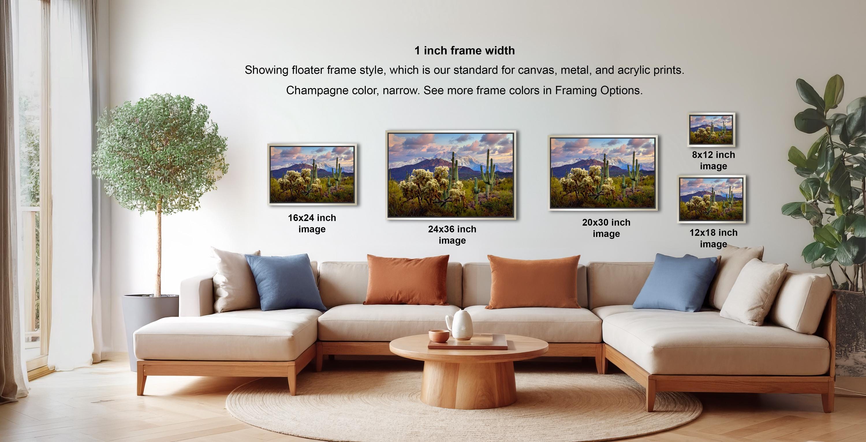 a living room with a large sectional sofa, a coffee table, and a potted plant. There are four framed landscape paintings displayed on the wall, each with a different frame size ranging from 16" to 20" inches. The paintings are arranged in a row, showcasing the different frame widths.