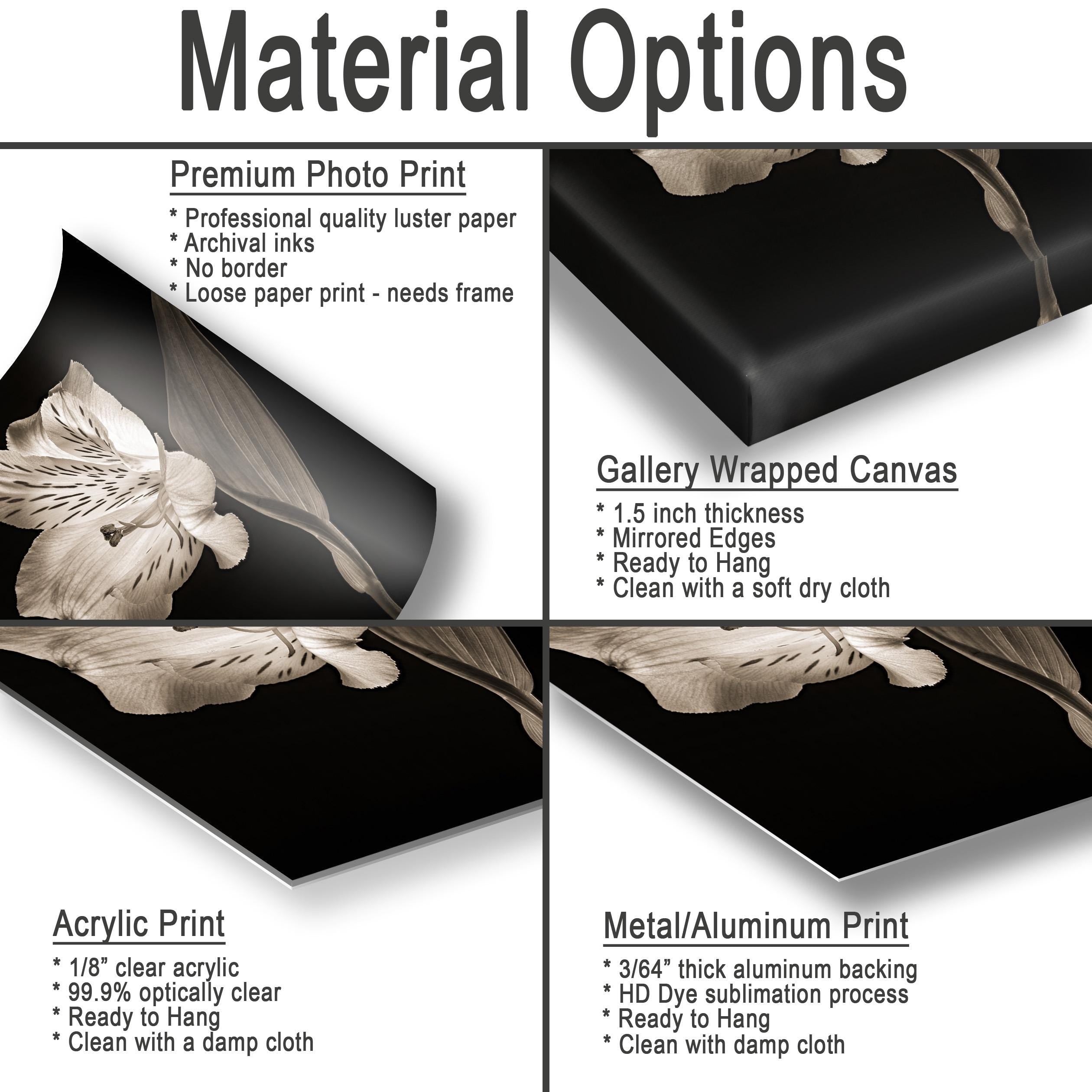 The image is a collage of four different types of printed materials, including a premium photo print, a gallery wrapped canvas, an acrylic print, and a metal/alum print.