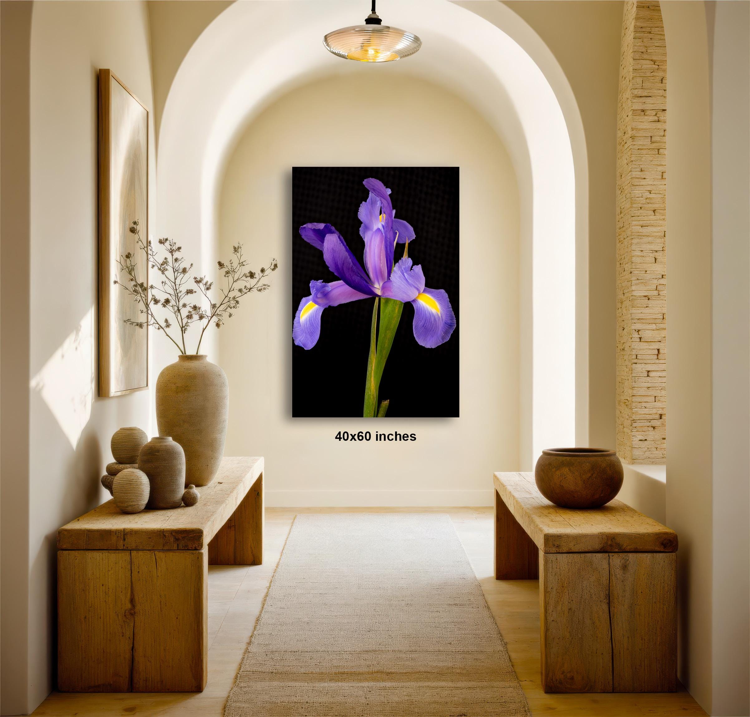 a hallway with a large framed photograph of a purple iris flower hanging on the wall. The hallway has wooden benches on either side and a wooden table with a vase of flowers. The photograph is approximately 4060 inches in size.