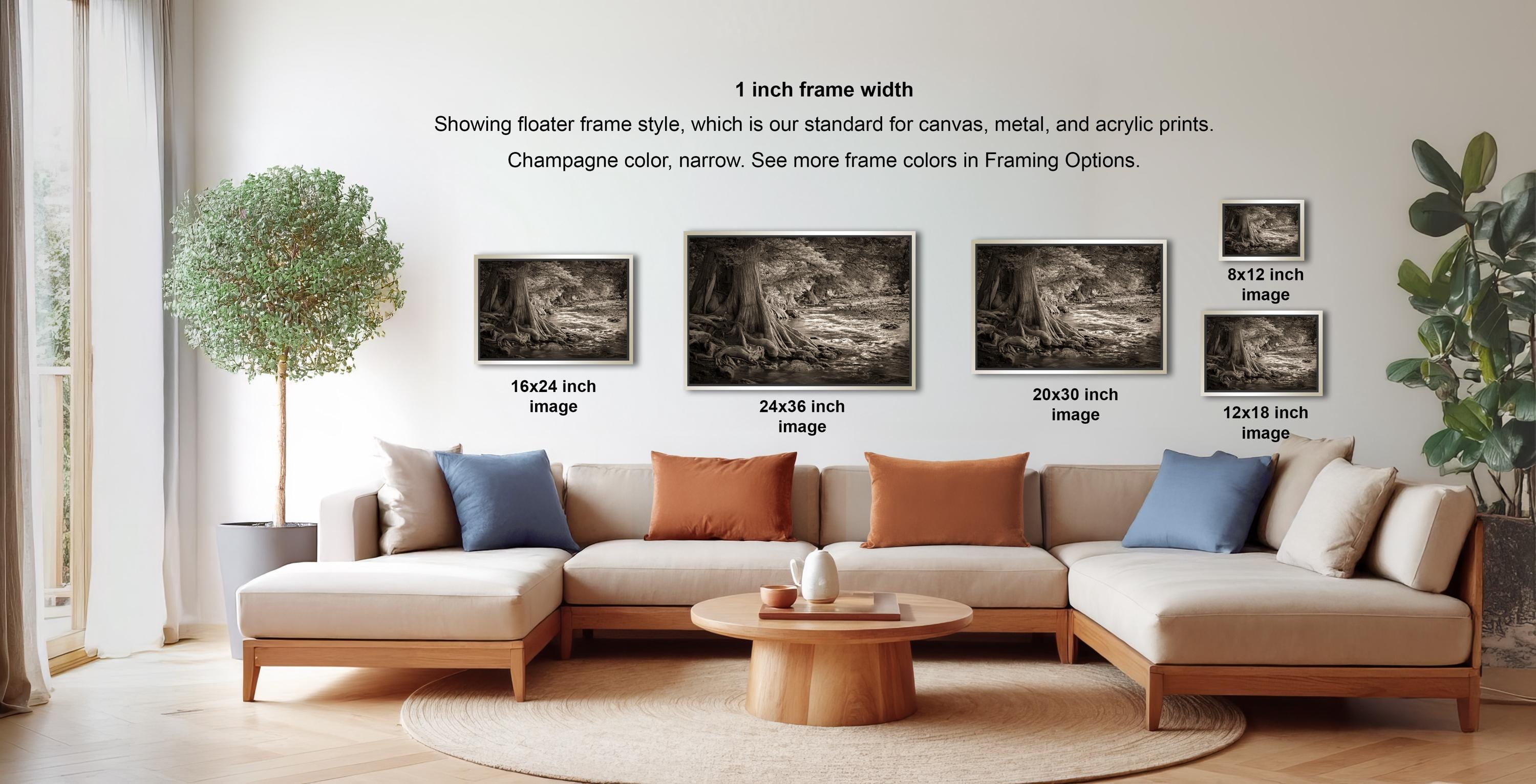 a living room with a large sectional sofa, a coffee table, and a potted plant. There are three framed black and white photographs of trees displayed on the wall, each with a different frame size ranging from 16.24 to 20.30 inches.