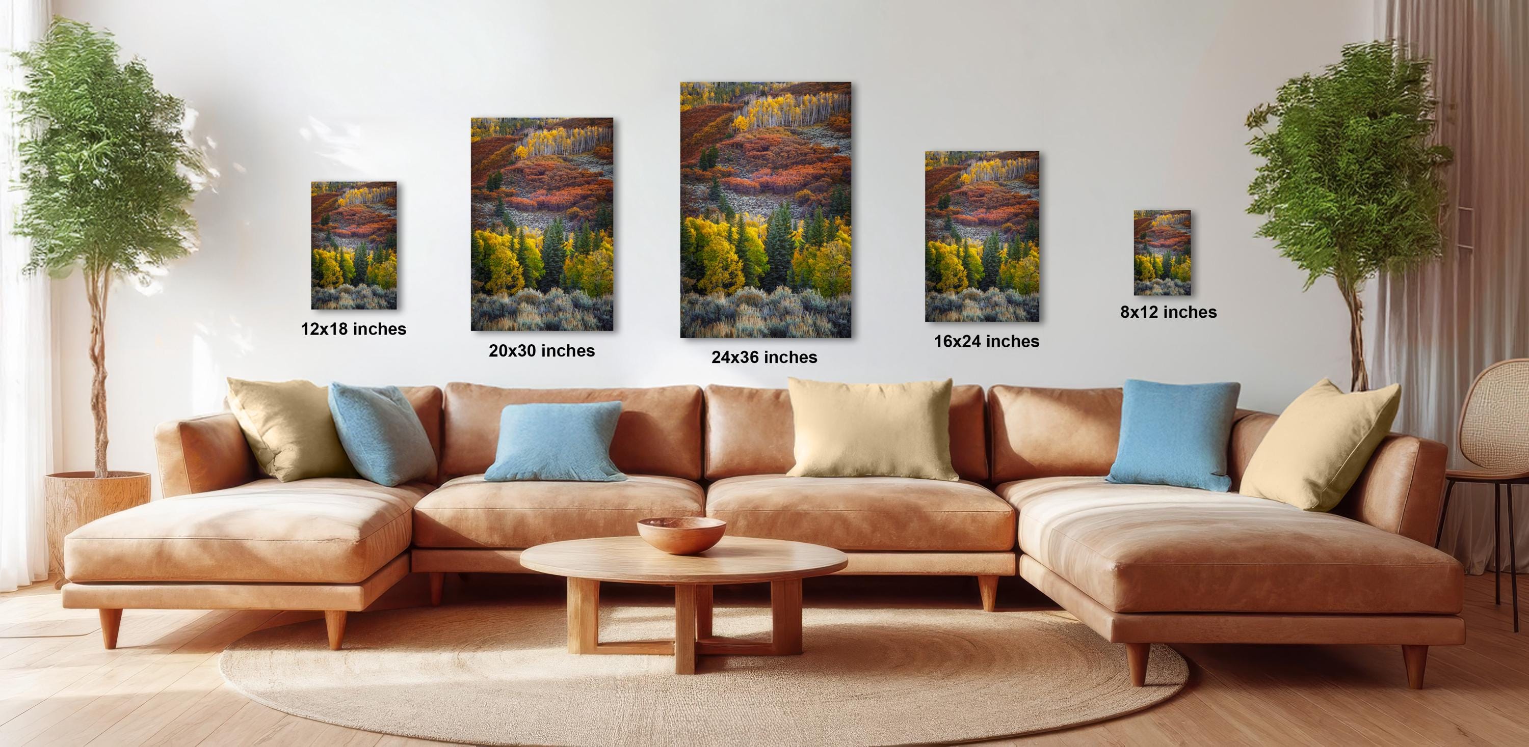 The image is a modern living room with a large sectional sofa, a coffee table, and several potted plants. The walls are decorated with framed landscape photographs of mountains and forests, and the furniture is arranged to create a comfortable and inviting atmosphere.